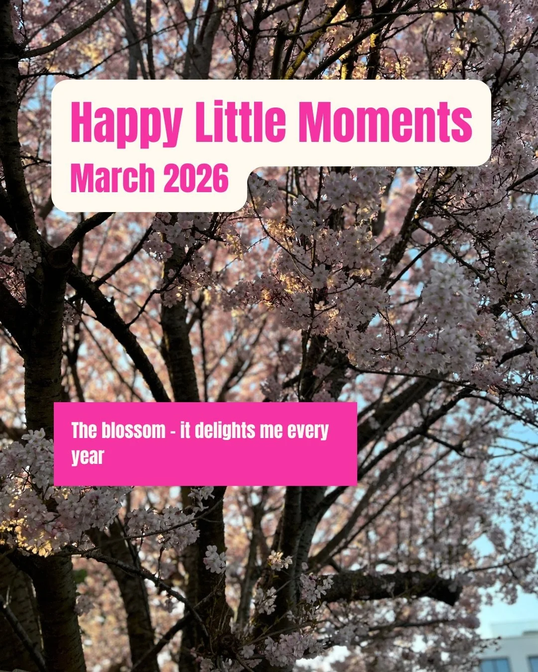 March, you were a beauty 🩷
.
.
.
.
#happylittlemoments #targetyourhappy #everydayhappiness #selfdevelopment