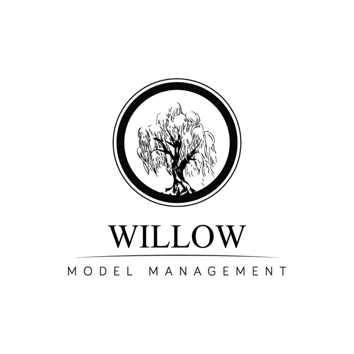 Willow Model Management