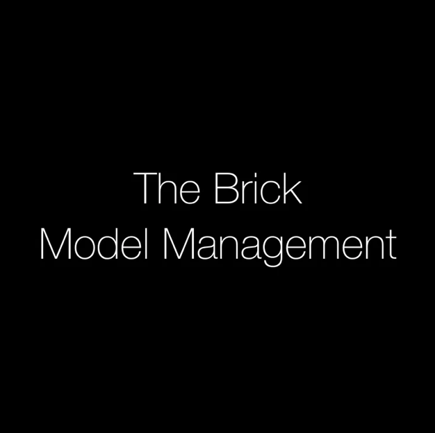The Brick Model Management