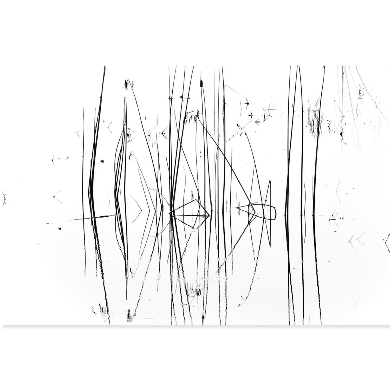 19_Reflection Unframed.jpg