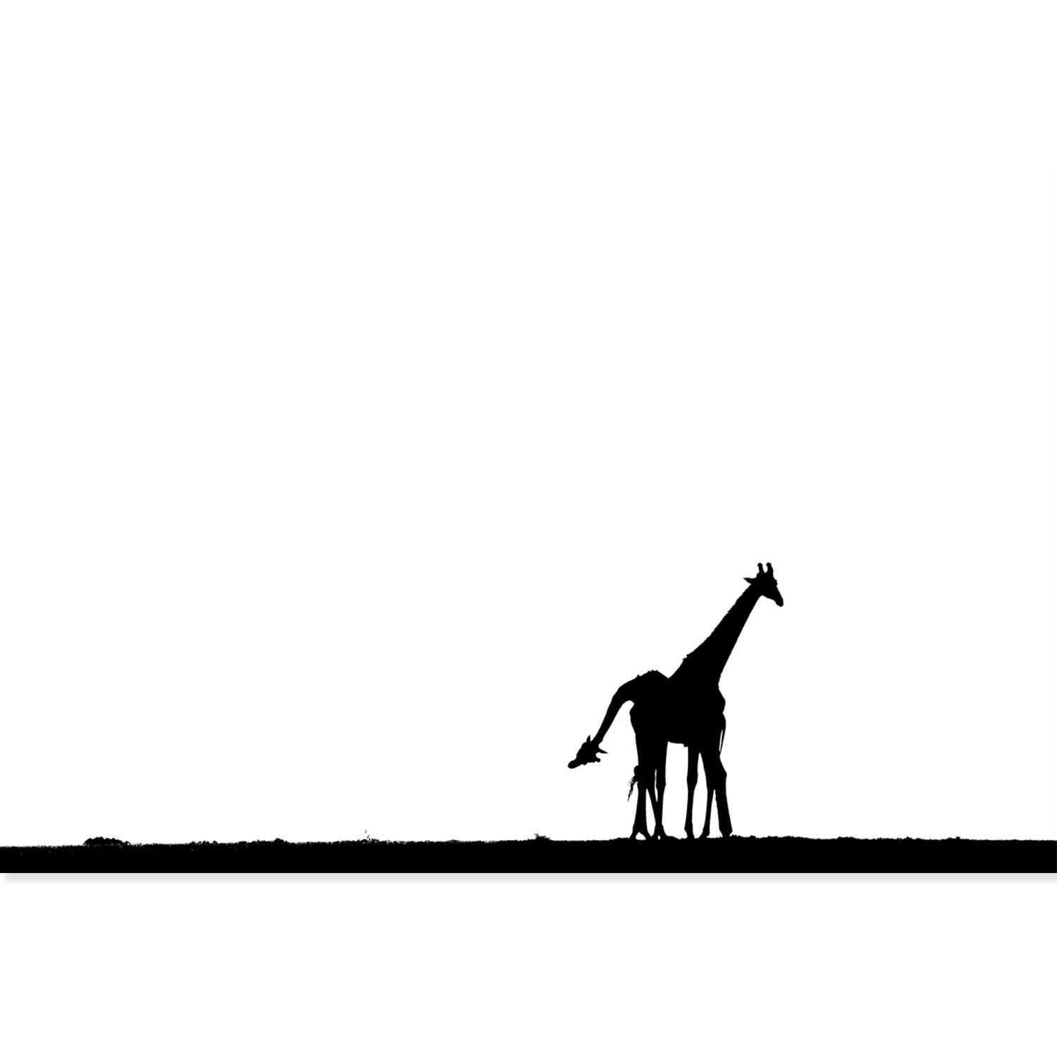 28_Giraffes1_Unframed.jpg