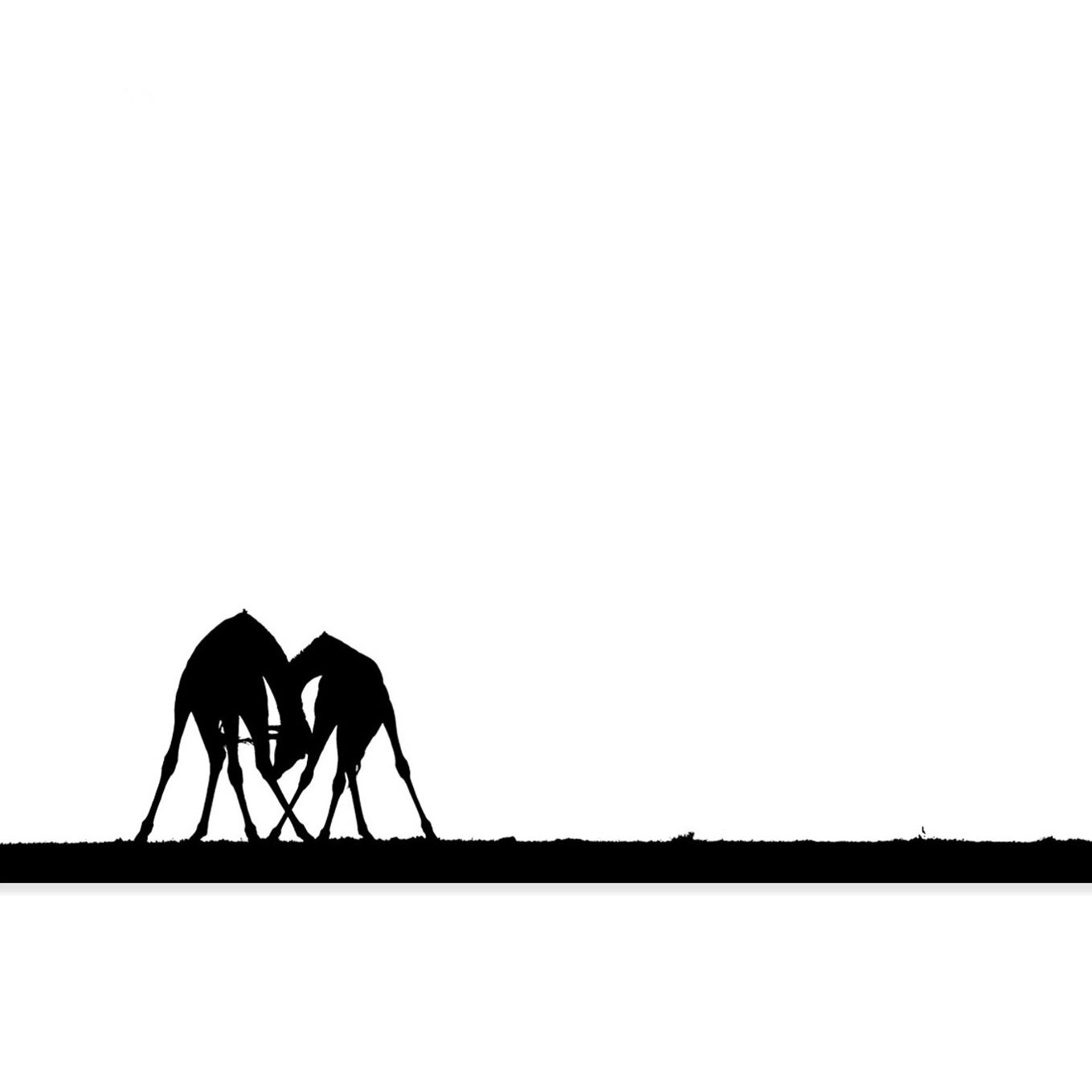 30_SpiderGiraffes_Unframed.jpg
