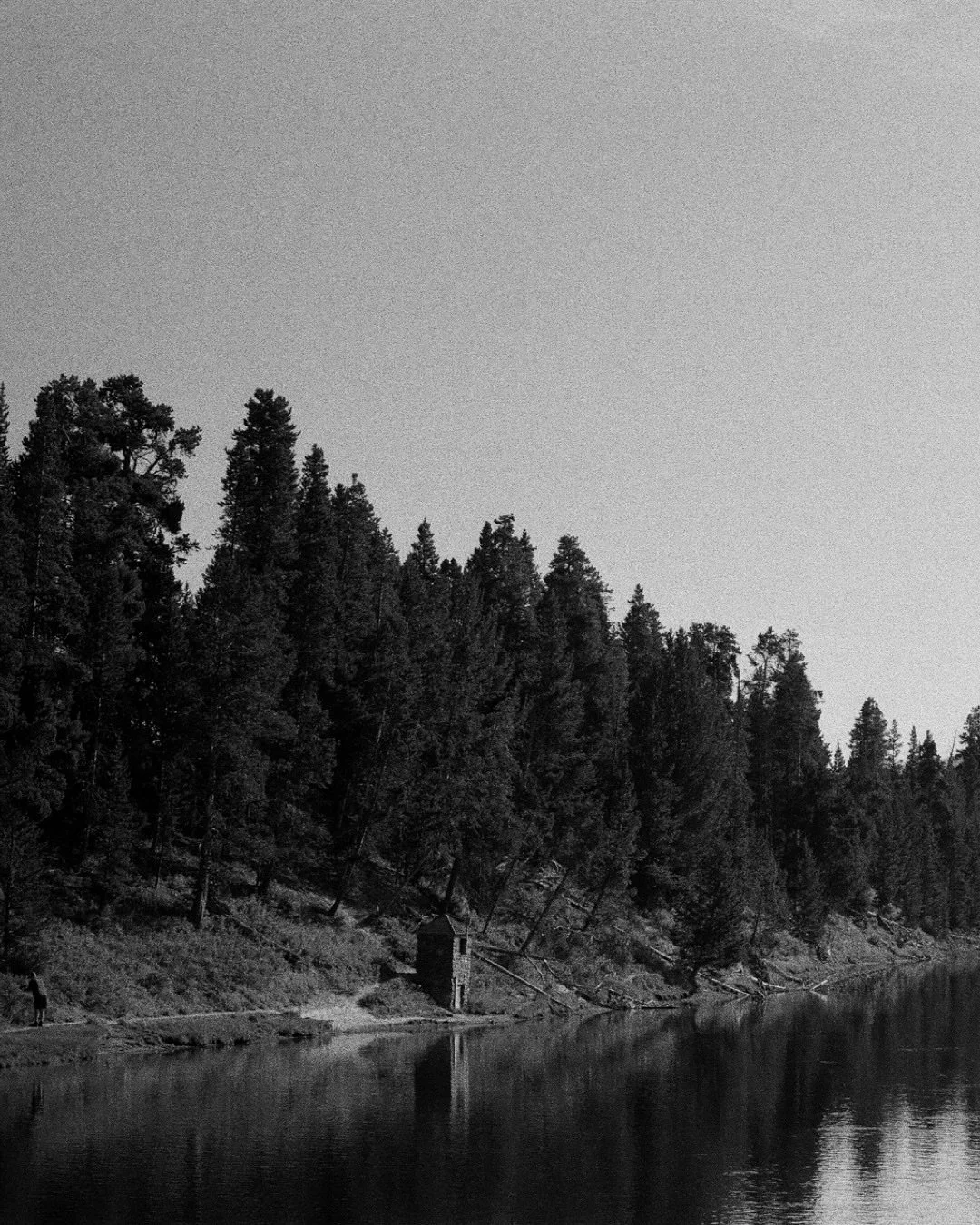 Film scans.
Yellowstone. Peonies. Jackson Hole. Cancun. Home.