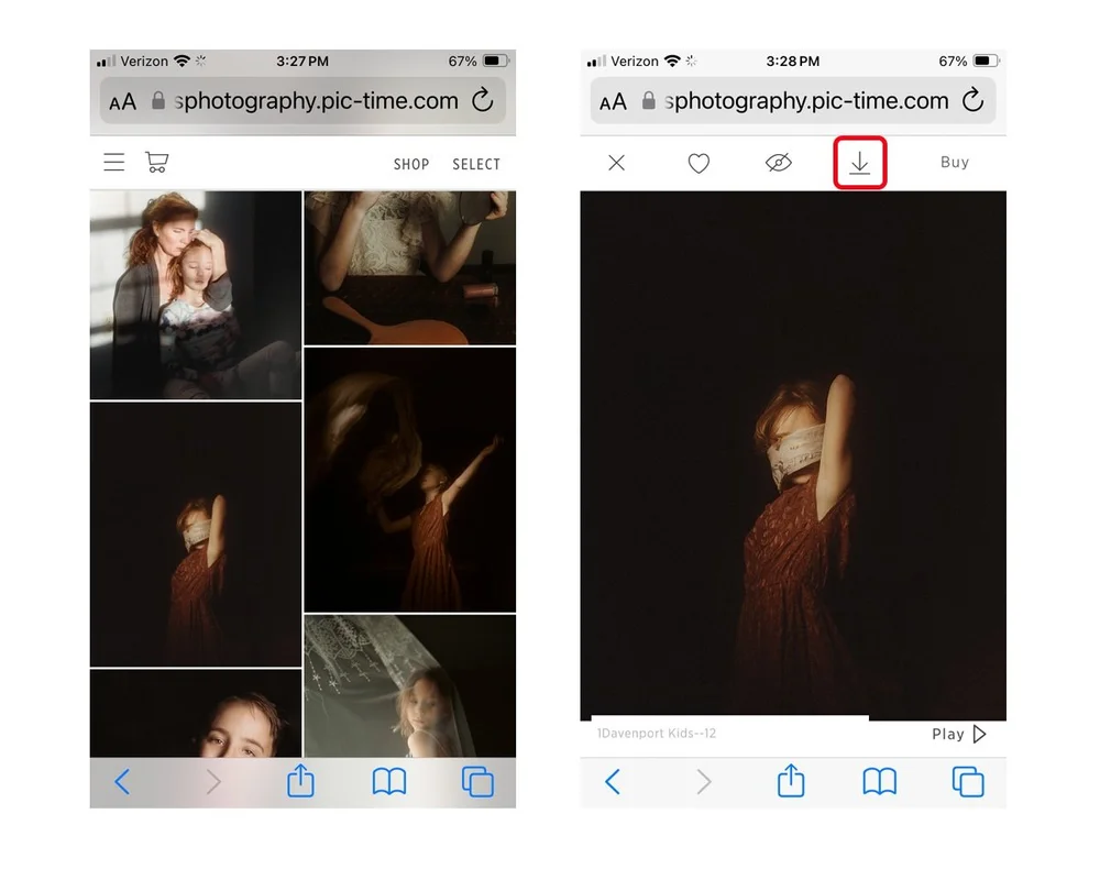 How to Download Photos in Pic-Time β Sunshine and Shadows Photography
