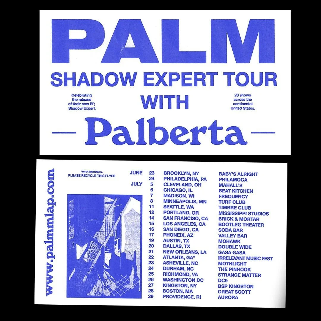 palm.jpg