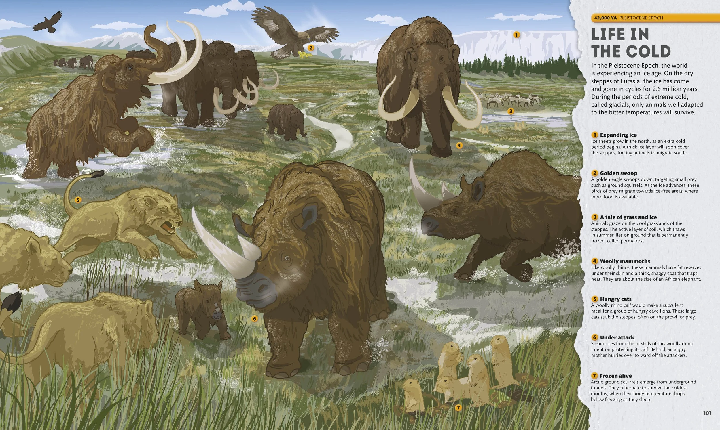 A children's book illustration showing the Pleistocene ice age giants including woolly rhinos and woolly mammoths, created for a science and nature illustrated children's book project