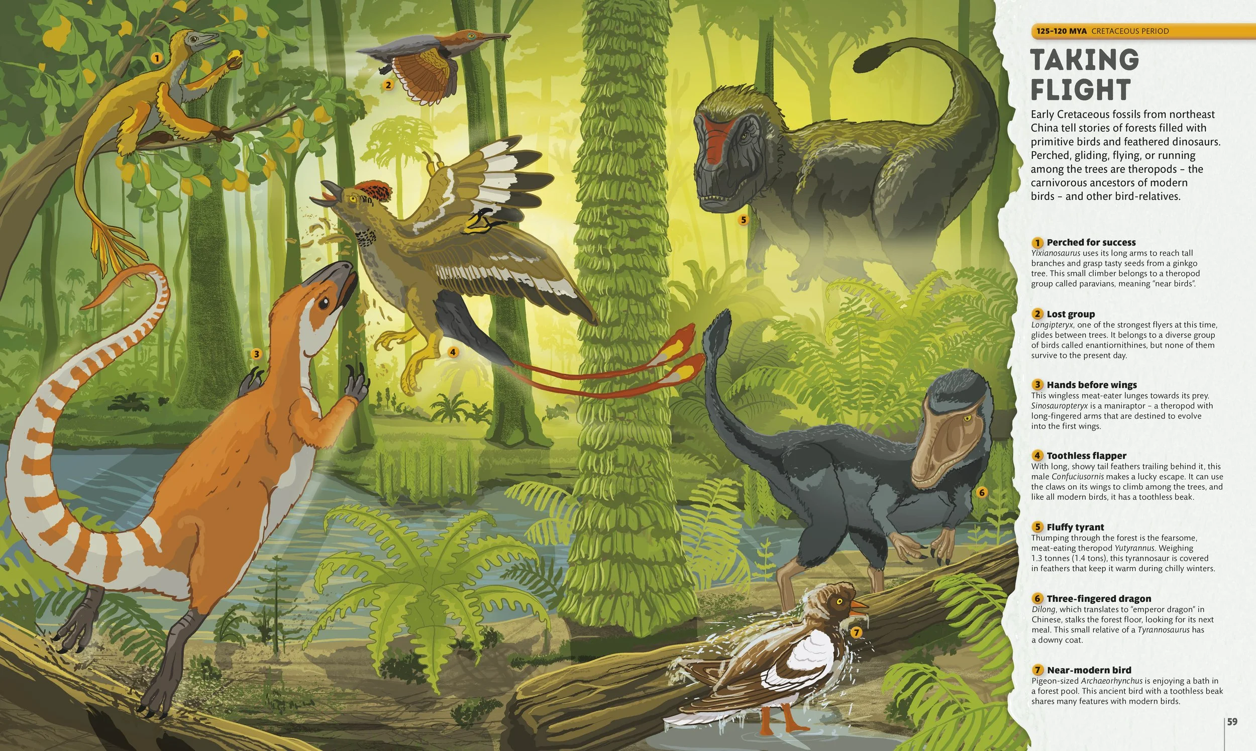 A children's book science and nature illustration of various therapod dinosaur's and early birds, created for the book project Planet Earth