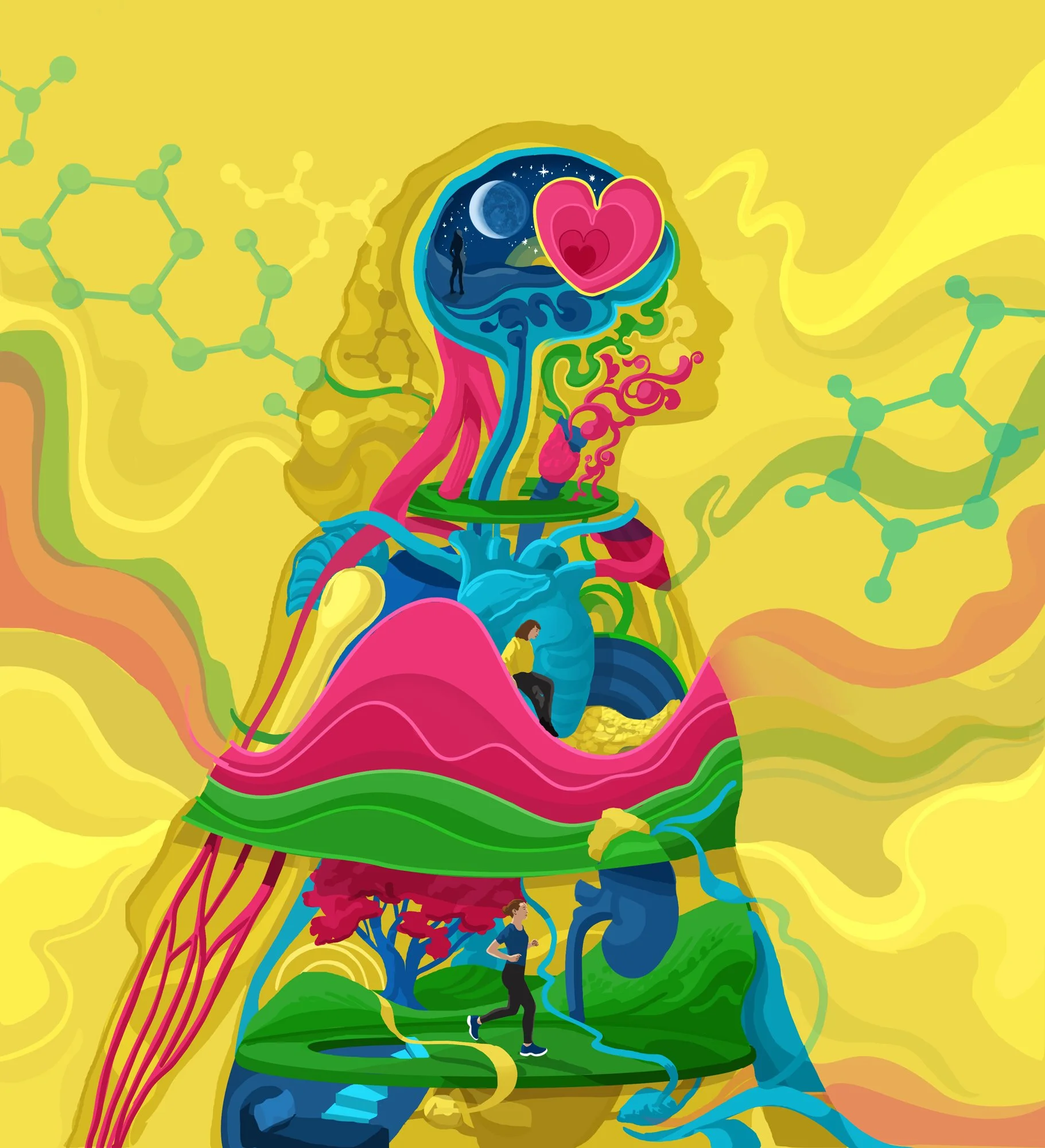 BBC Science Focus: Hormones