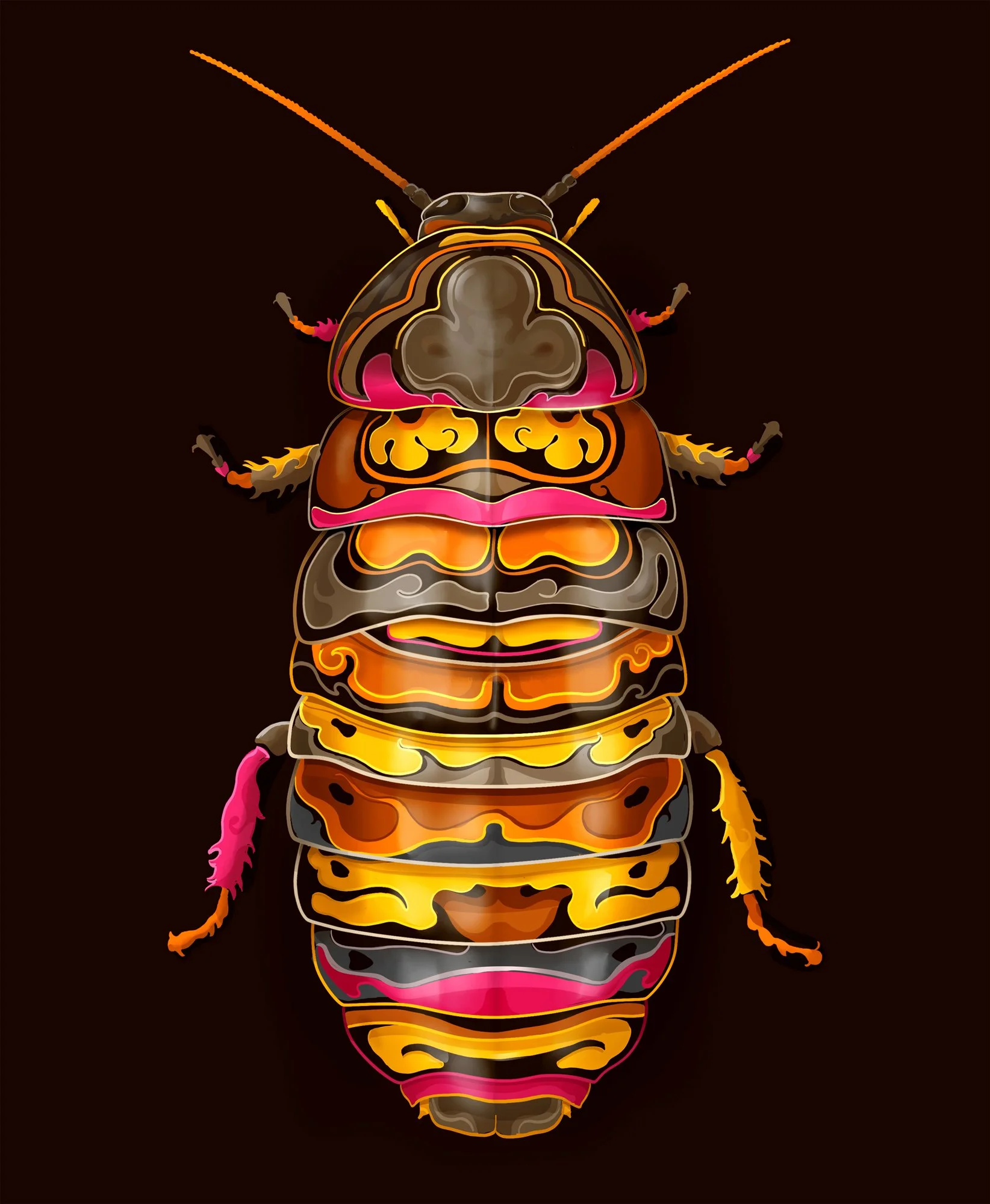 Hissing Cockroach