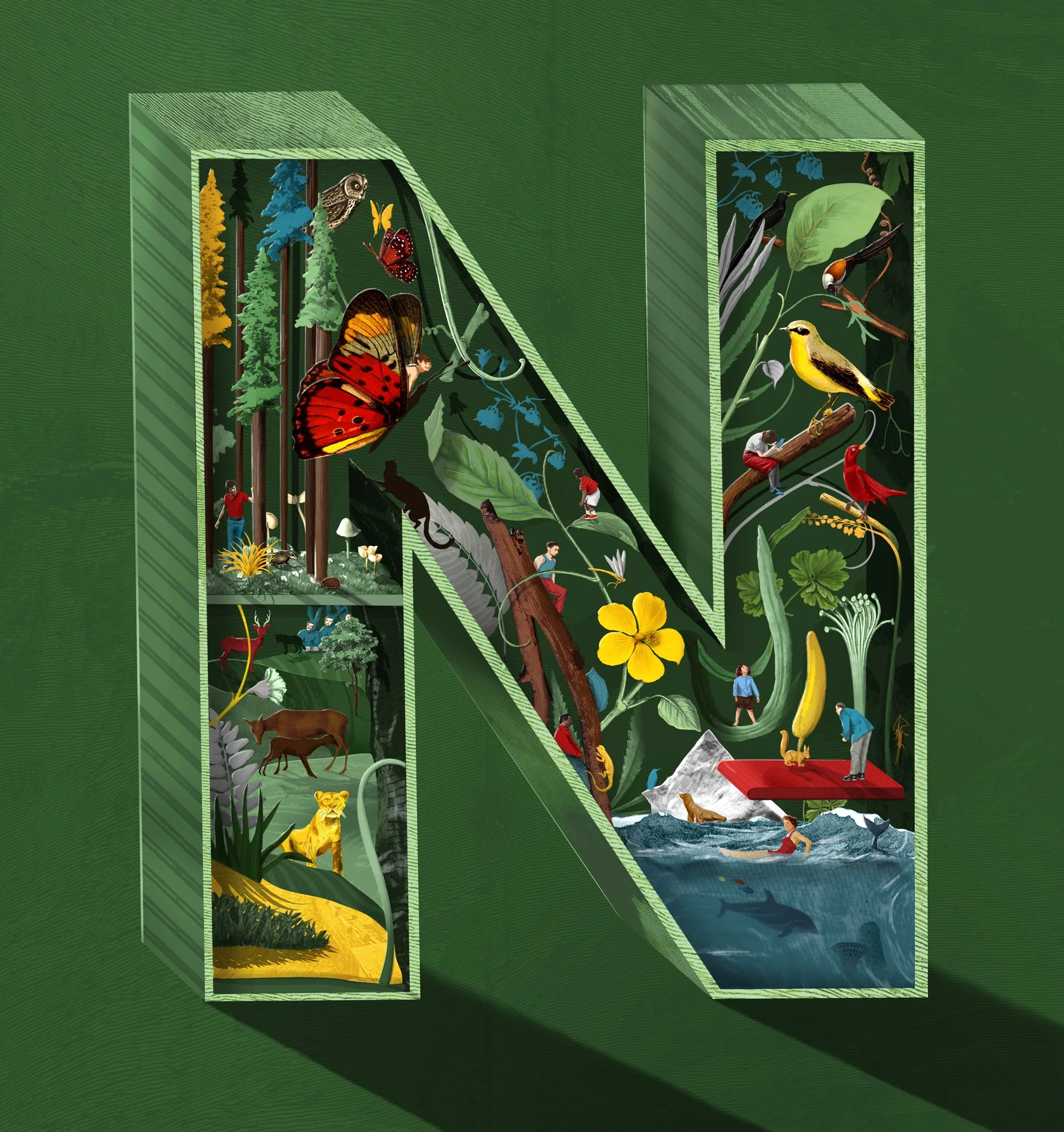 Nature-Illustration.jpg