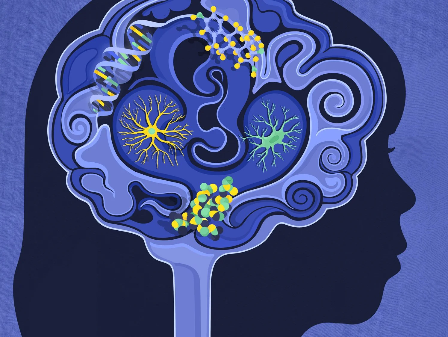 Brain Development for Knowable 