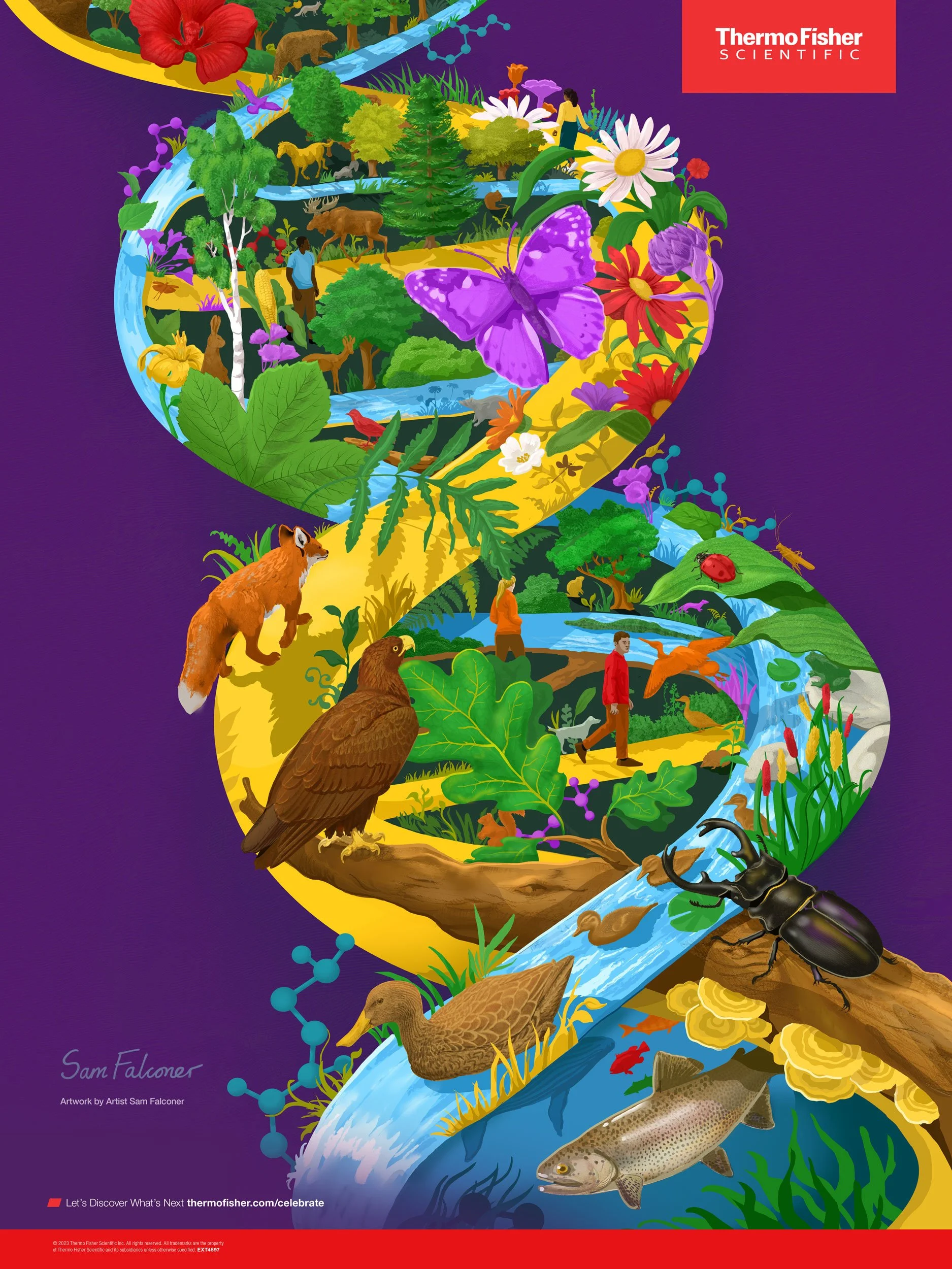 DNALife-SamFalconerIllustration.jpg
