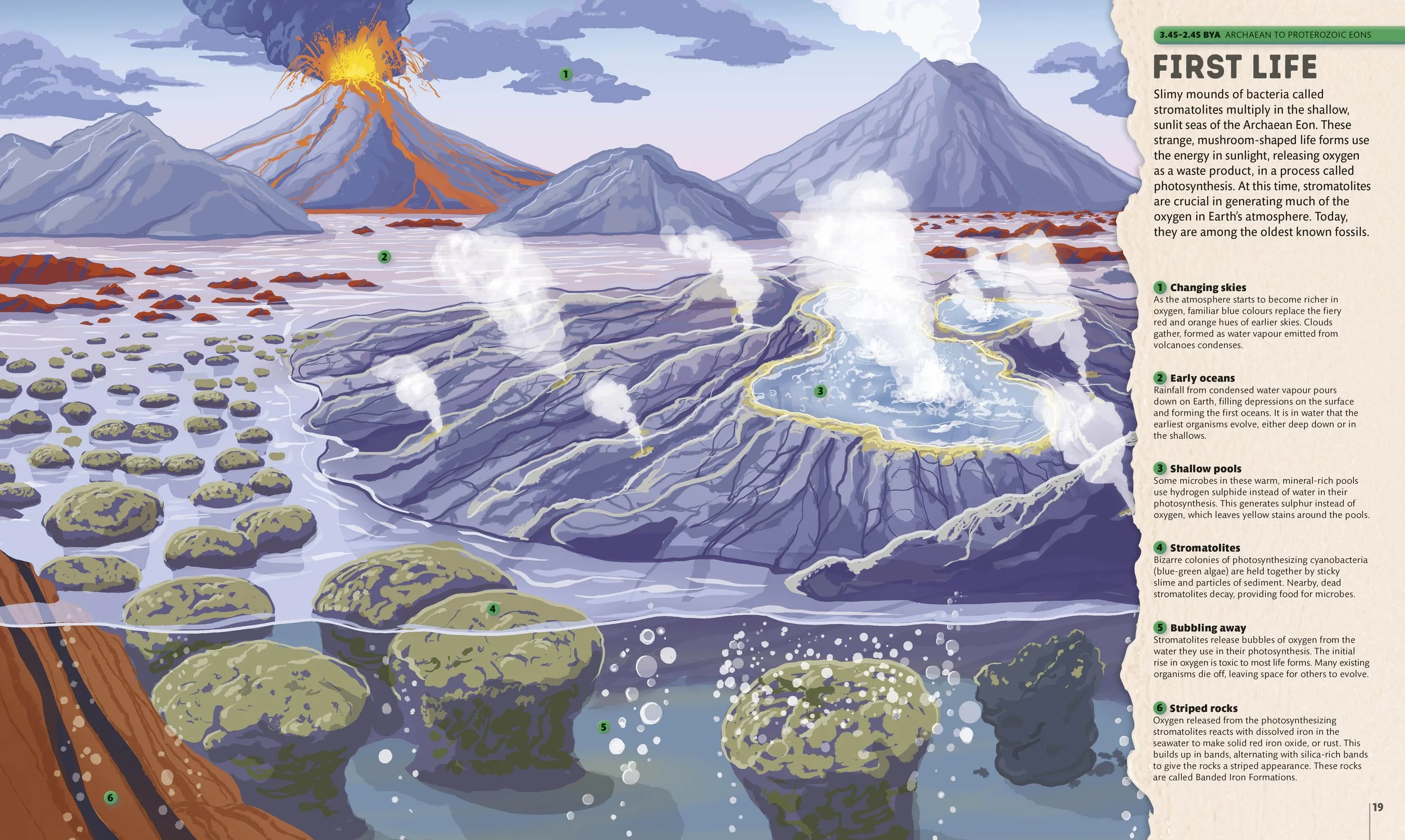 A children's book science illustration showing early life on earth in the Archaen eon, showing stromatolites, volcanos and shallow seas, created for the book Planet Earth: A 4.5 Billion Year Story