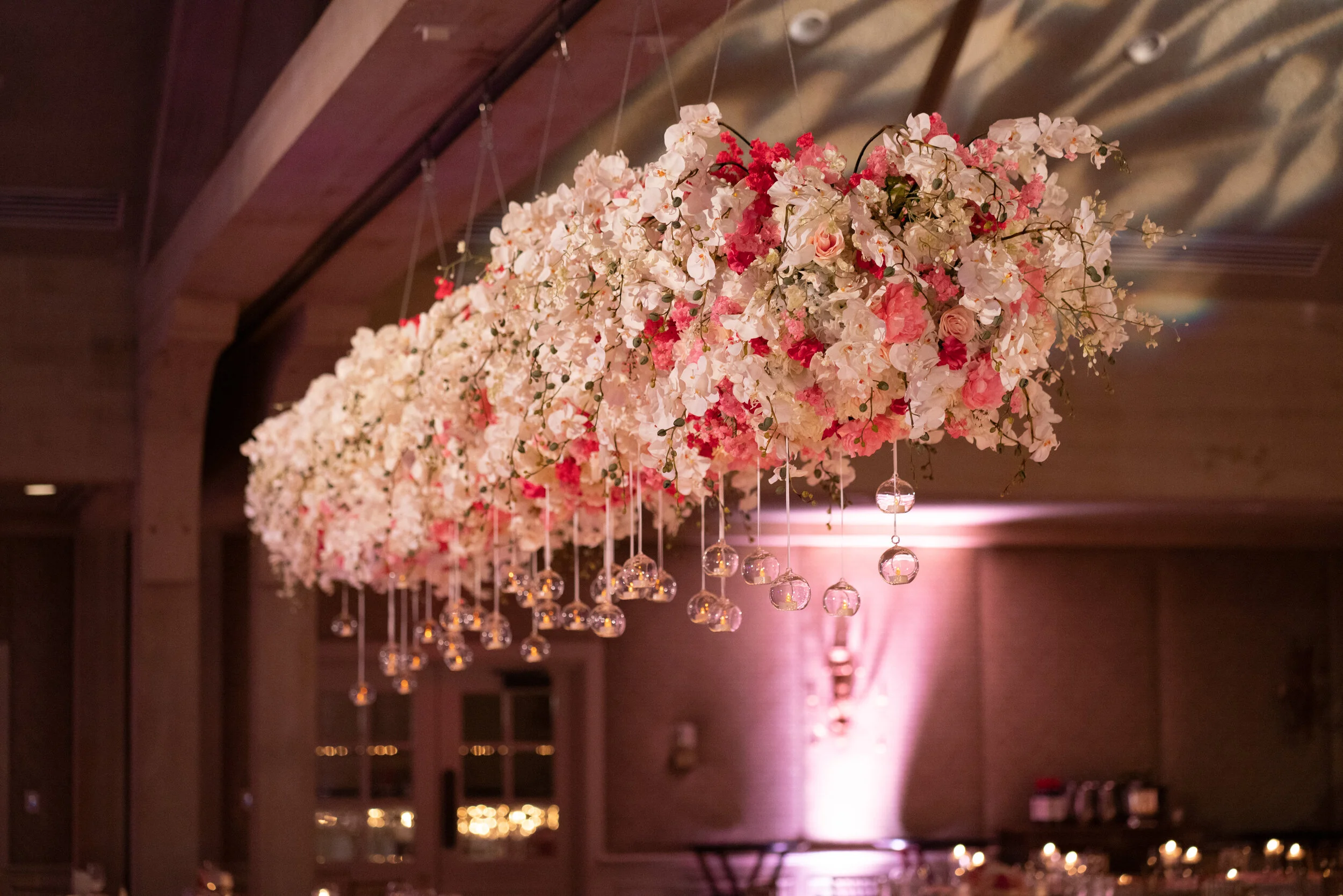 Ace Cuervo Photography