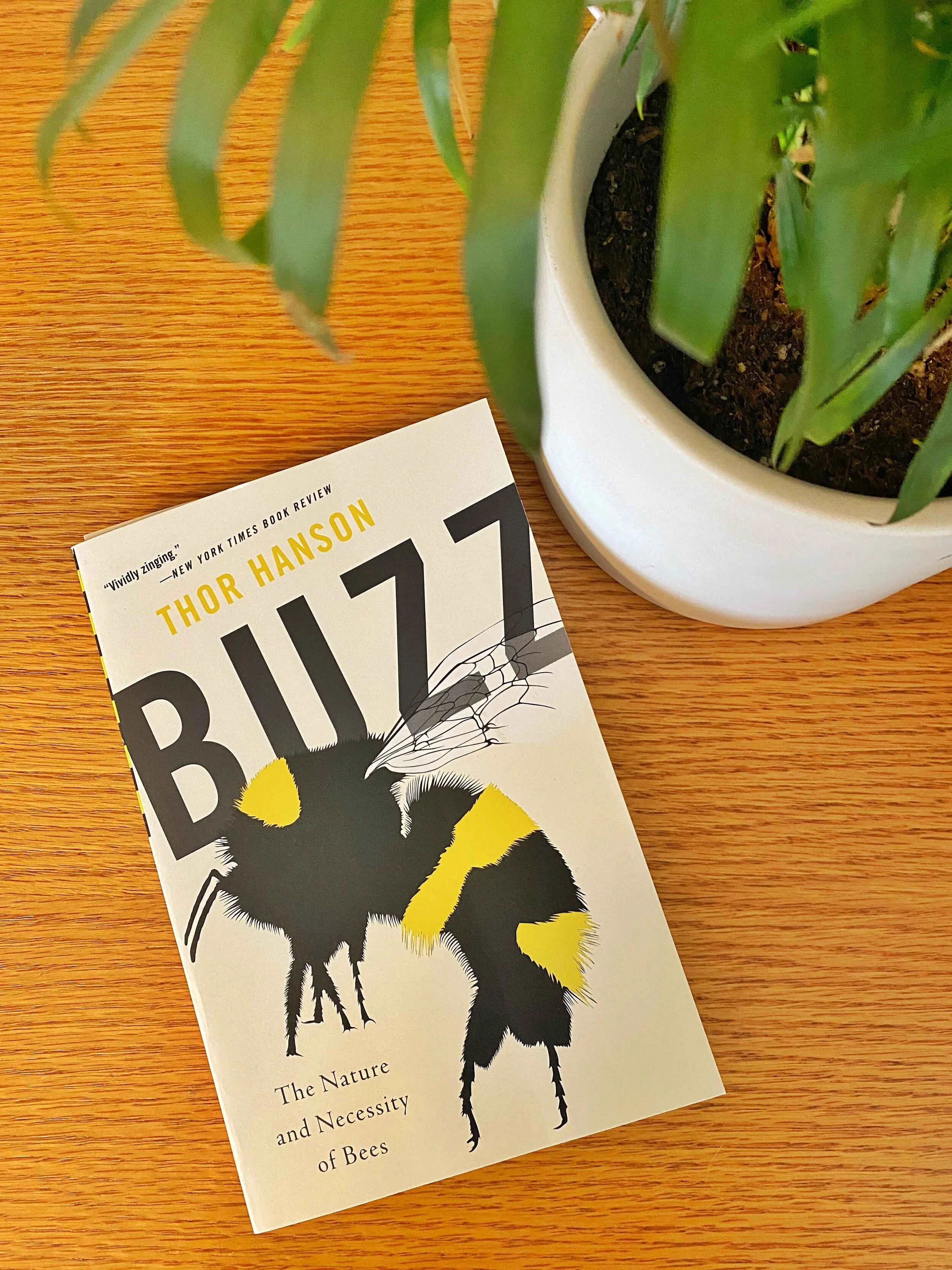 Book of the Month: April 2020