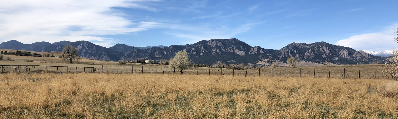 Grain School 2021 starts this weekend