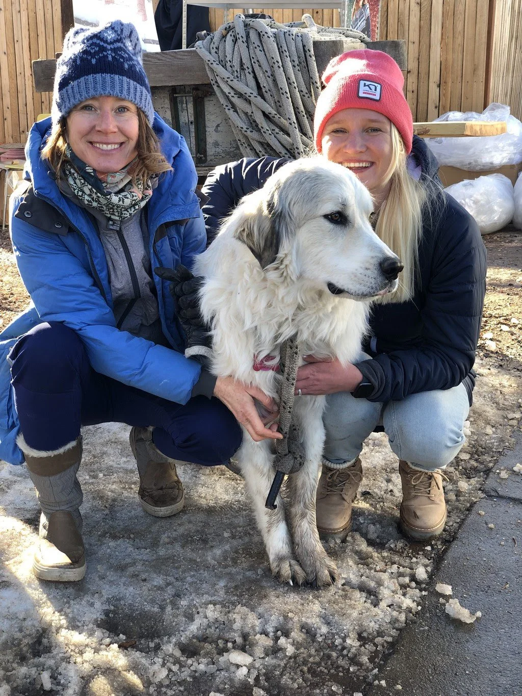 Jerusalem Bagel Day Today