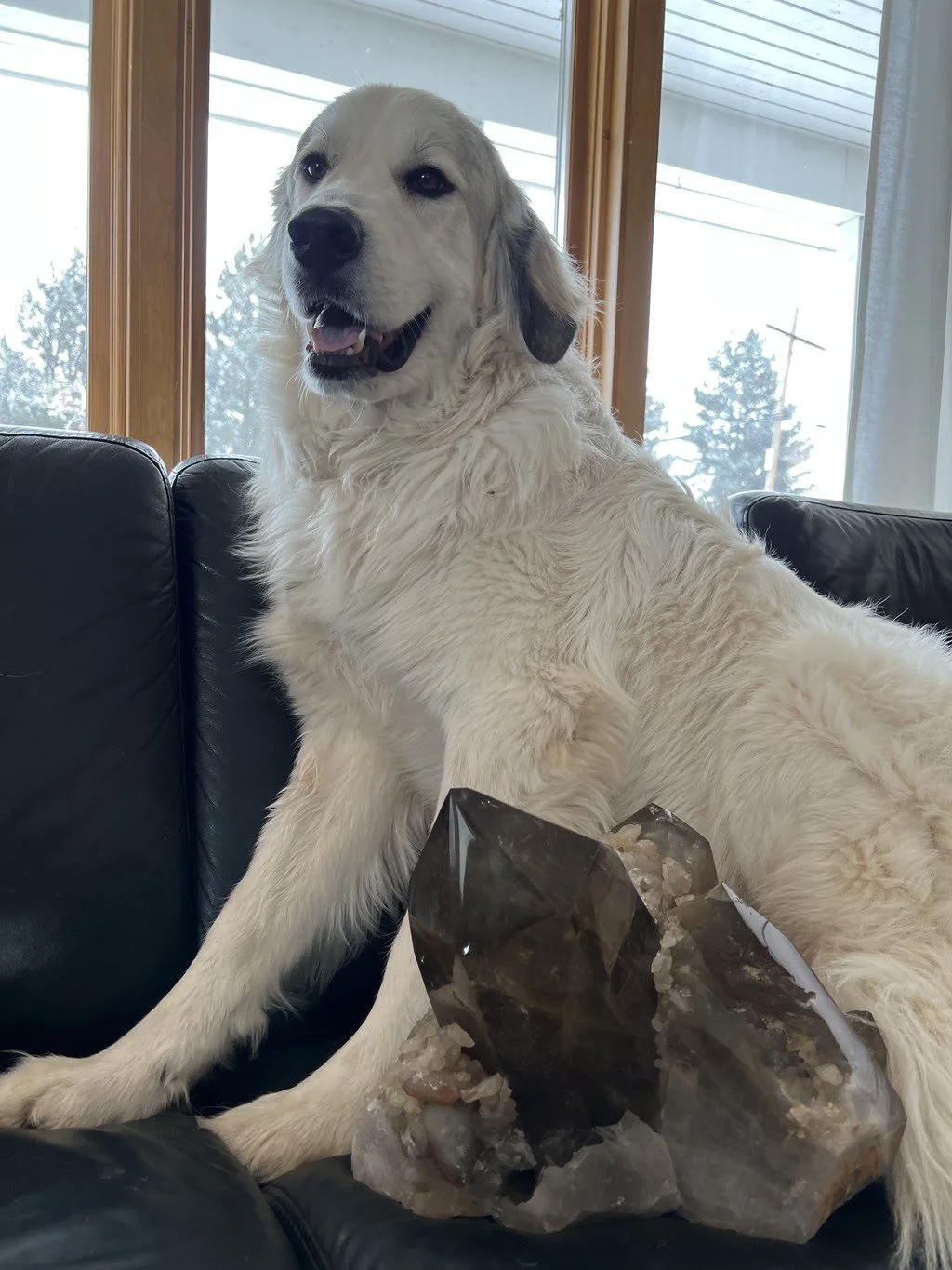 Moxie Update ∆2∆22∆22∆