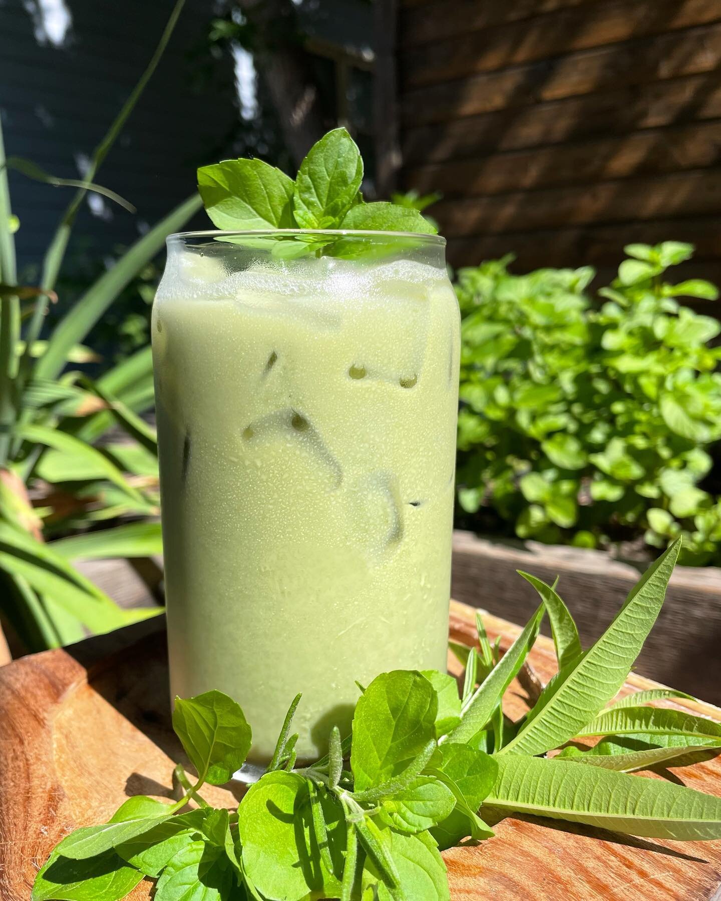 The Moxie Garden Matcha 🌿
Iced matcha with lemon verbena, orange mint, and rosemary infused simple syrup. All herbs fresh from our garden.

Available at Louisville for a limited time only!