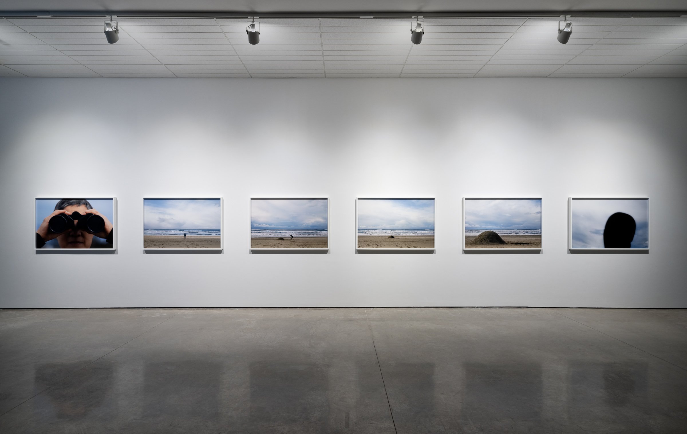   Long View series , 2017, six chromogenic prints. Collection of the artist. Photo by Blaine Campbell. 