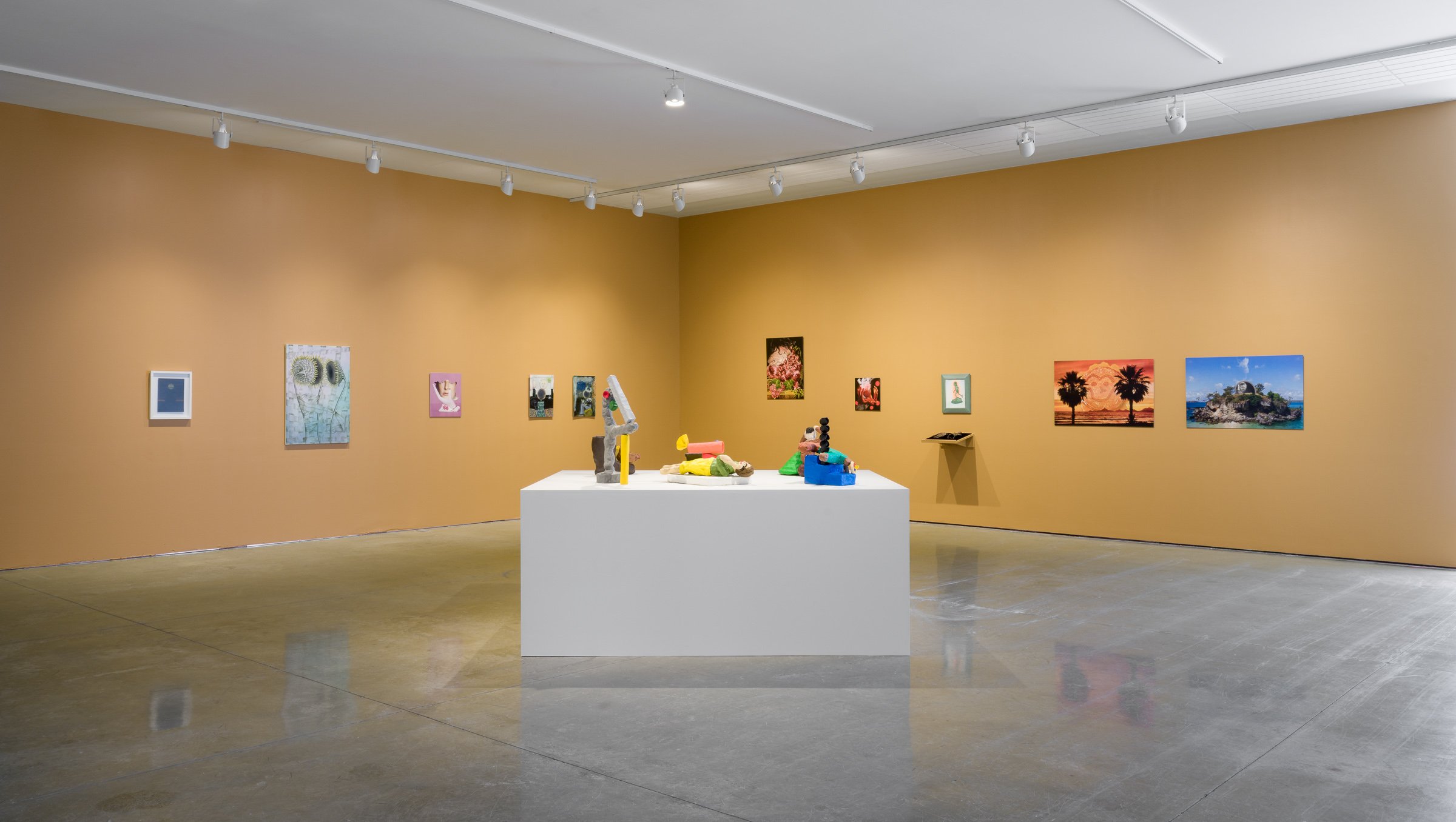  Installation view of  The Faceless Familiar . Photo by Blaine Campbell. 