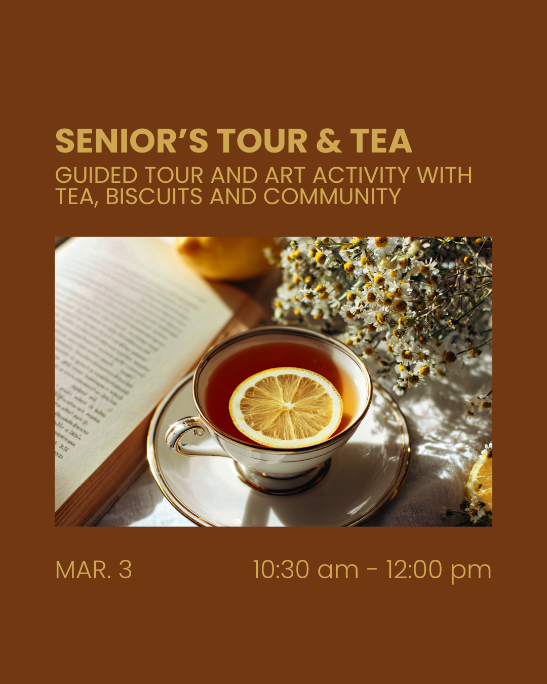 Senior's Tour & Tea