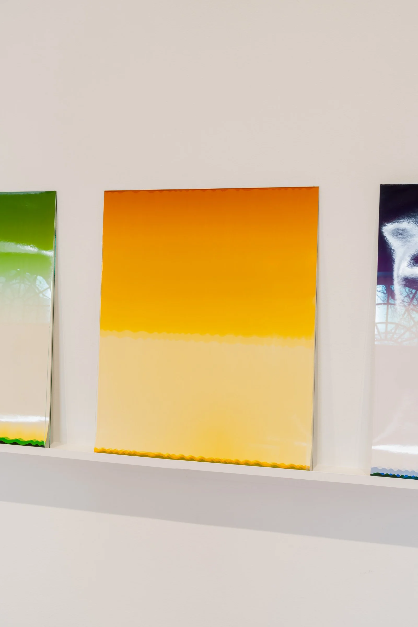 1Copy of SAAG_DavidMiller_24.jpg