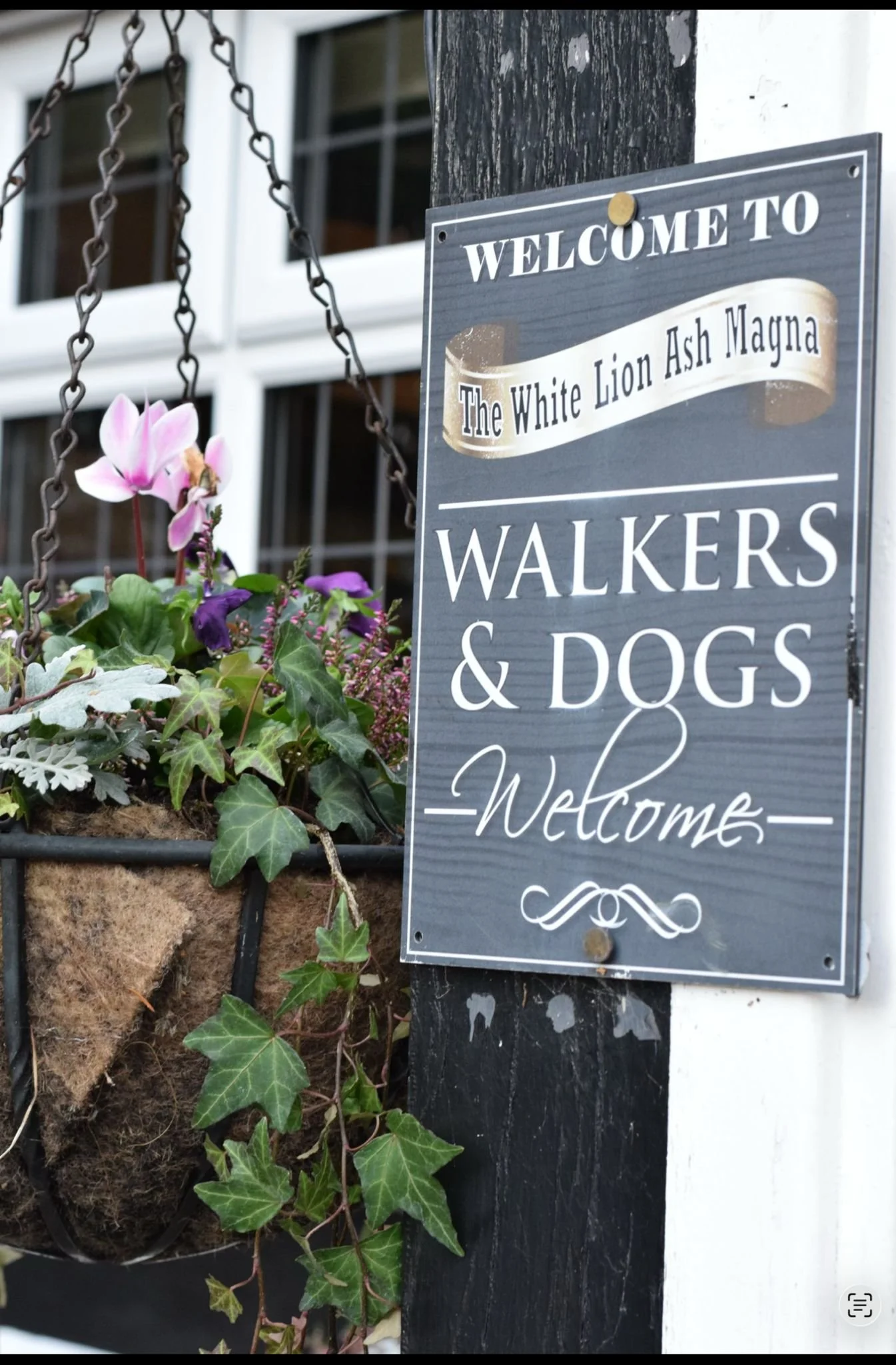 Walkers and Dogs.jpg