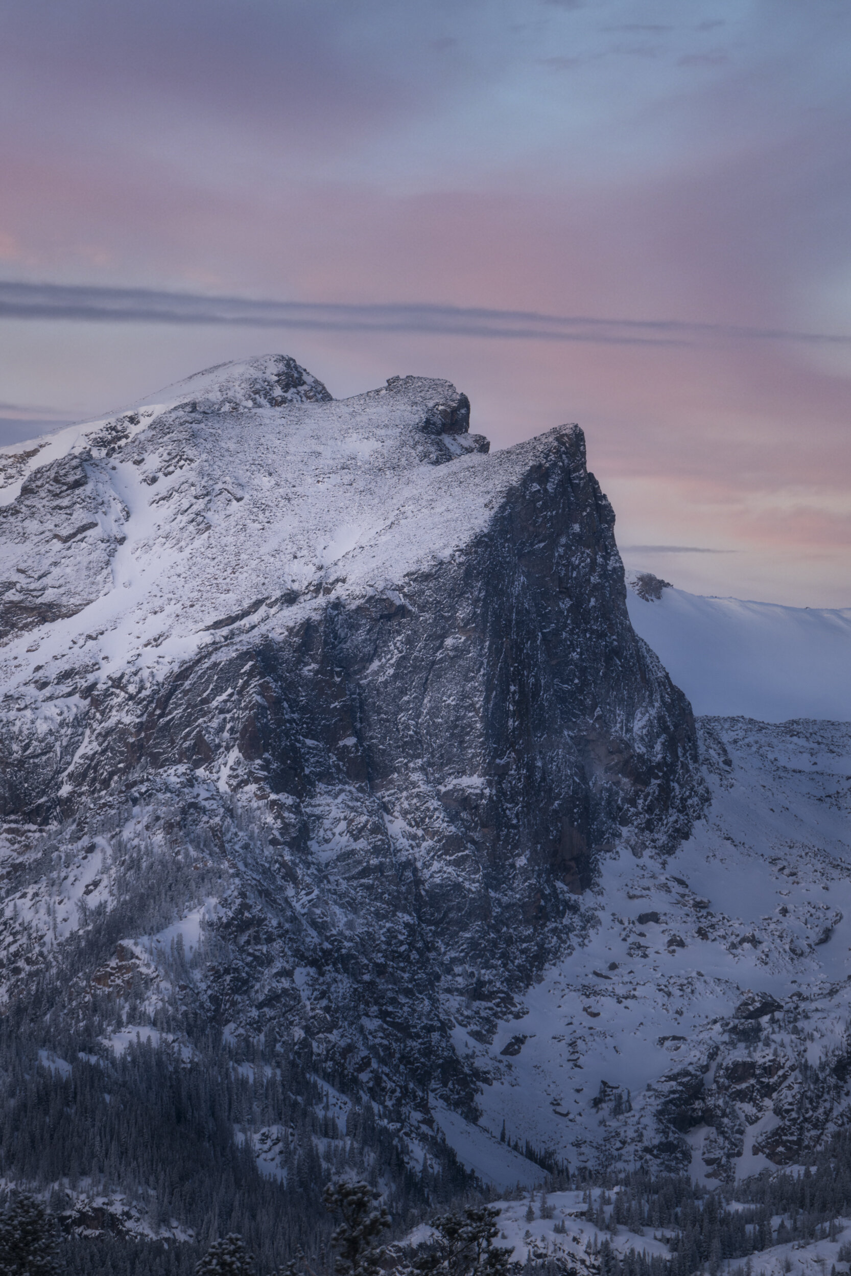 morning majesty.jpg