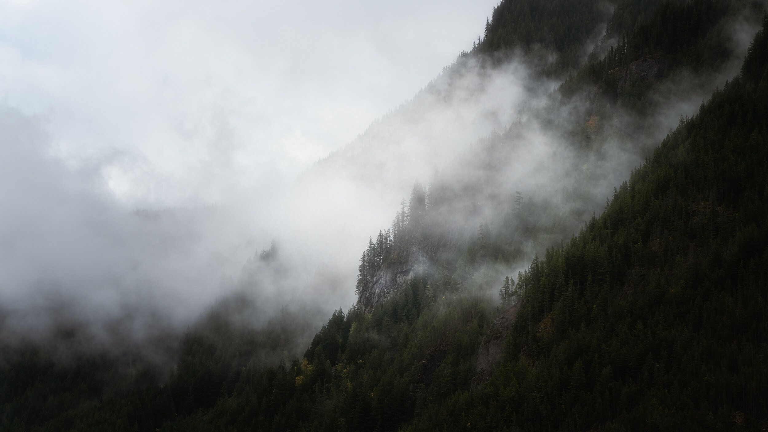 Misty Knoll