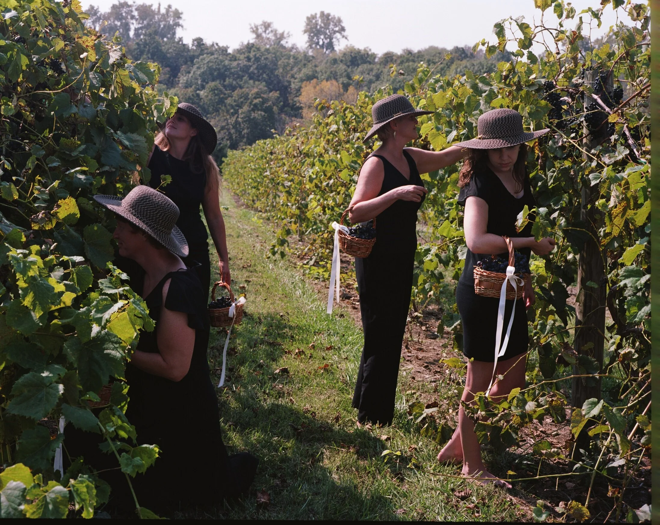 Sunday Morning

You might almost feel like you’re headed to church when you plug the name “Two Saints Winery” in your GPS on a Sunday morning. ;) At Two Saints you can have a taste of completely local wines, made using only grapes grow in Warren Coun
