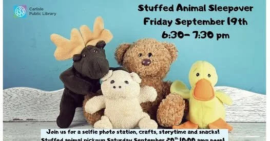 Stuffed Animal Sleepover