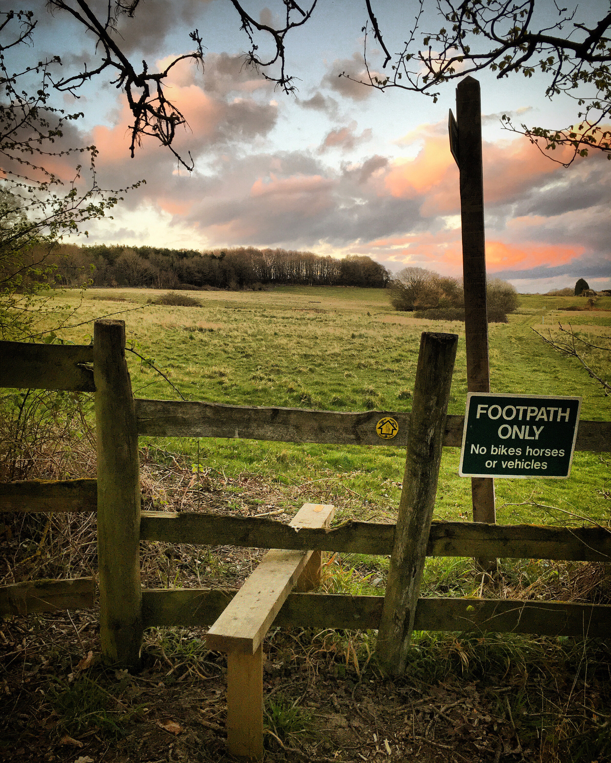 Castle Hill  / walk tonbridge