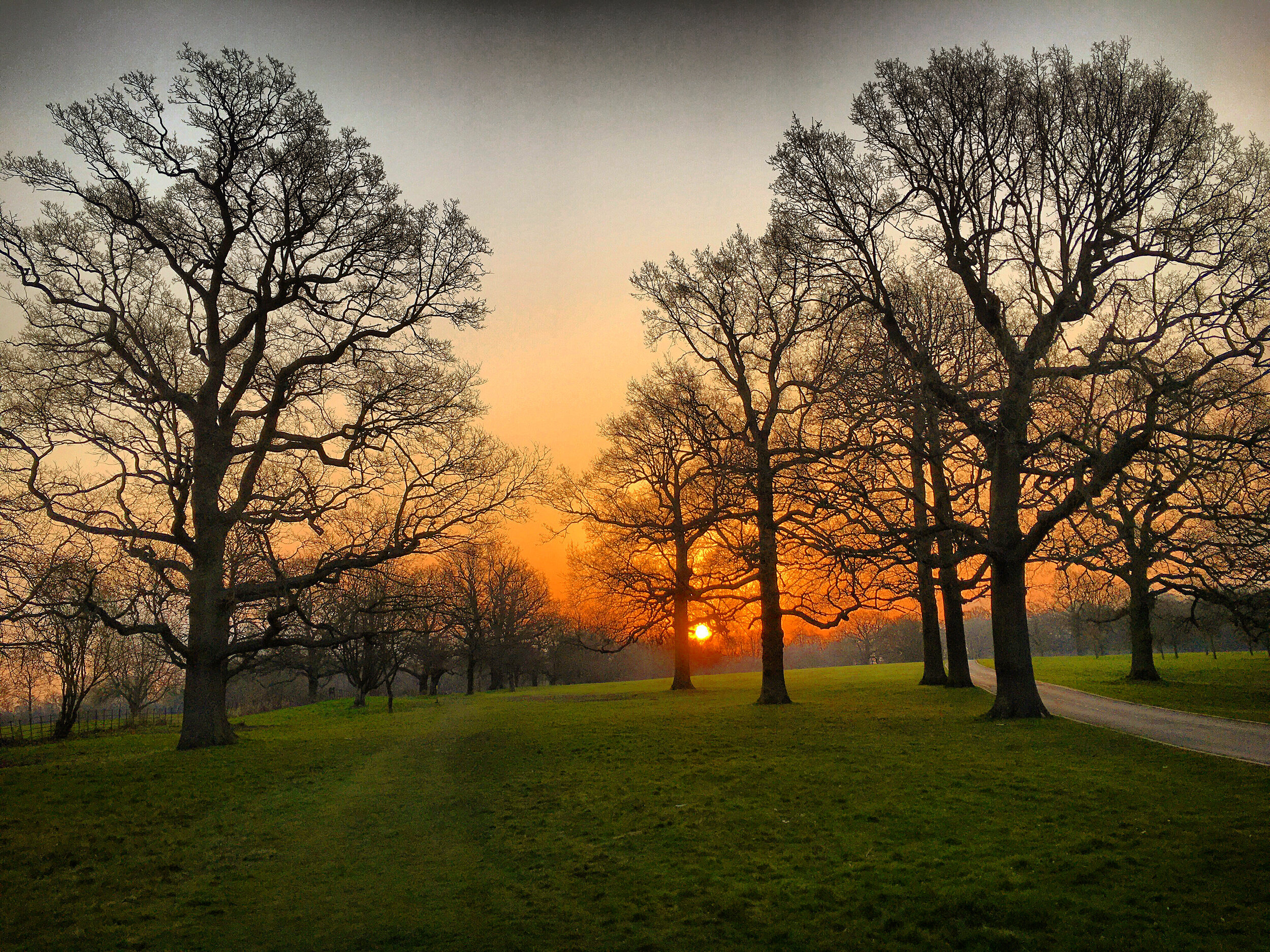 Somerhill Park at sunrise