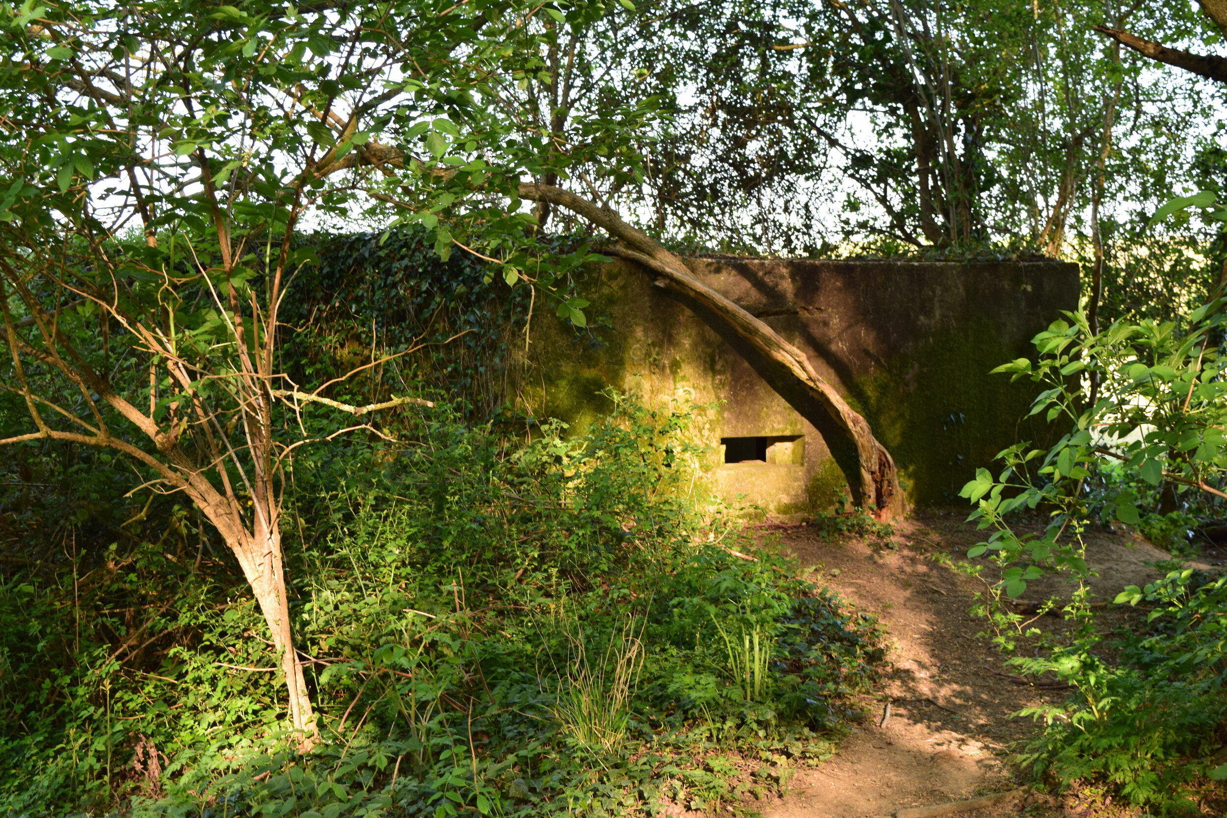 Pillbox type FW3/24, by the river Medway Tonbridge (Box number 6)