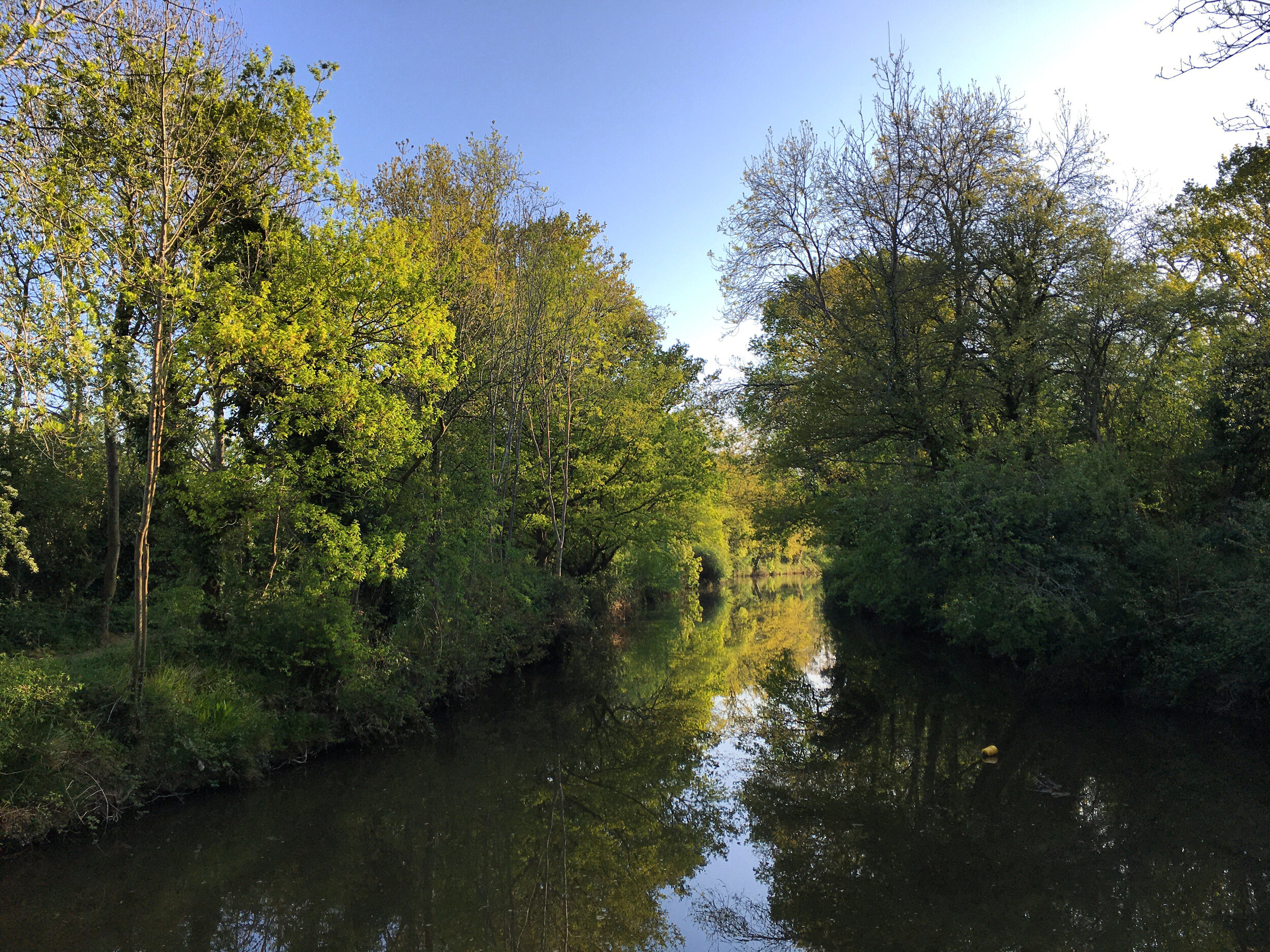 The River Medway, near Haysden Country park Tonbridge
