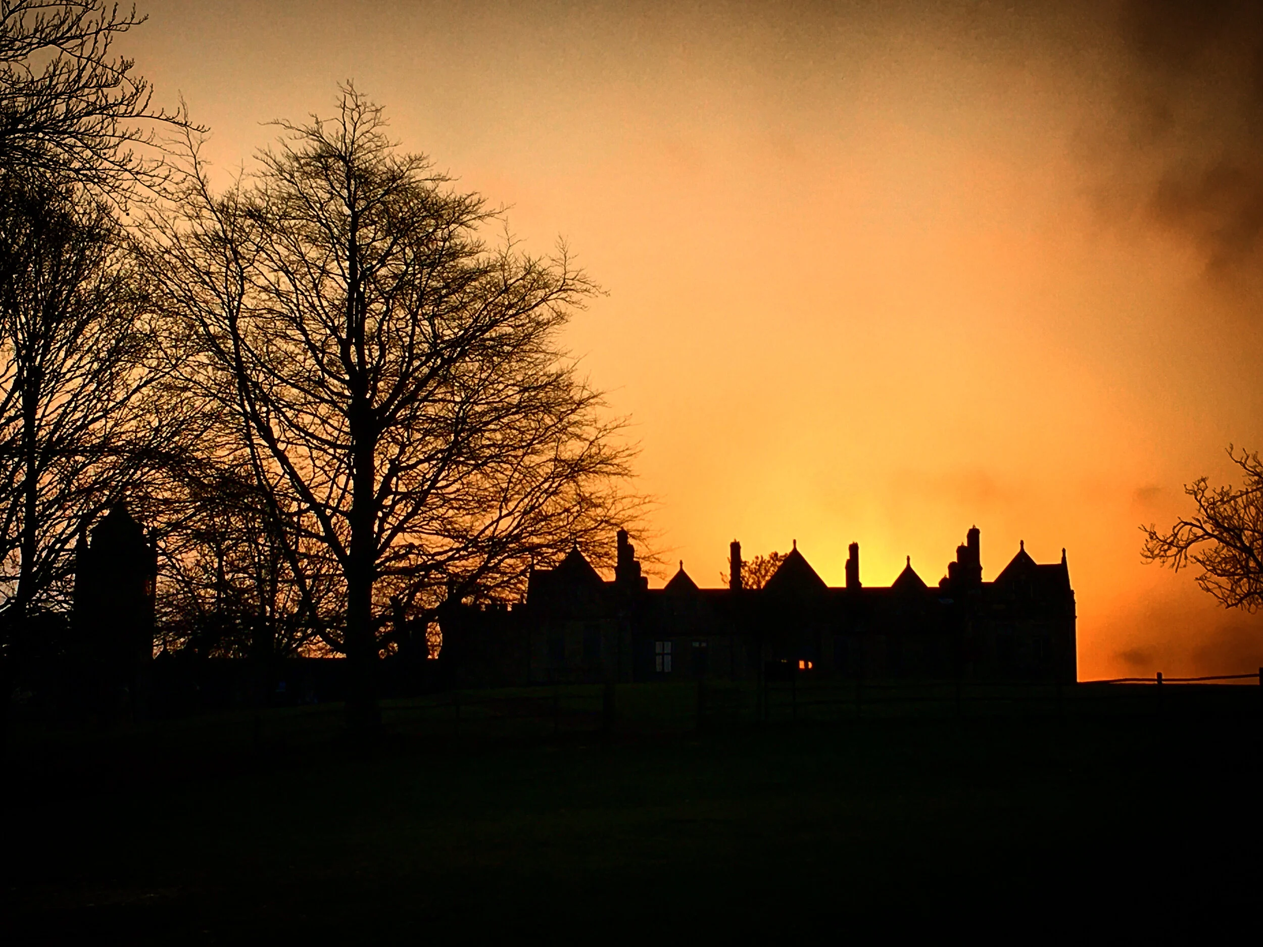 Somerhill at sunrise - Walk 3: The Goldsmid trail