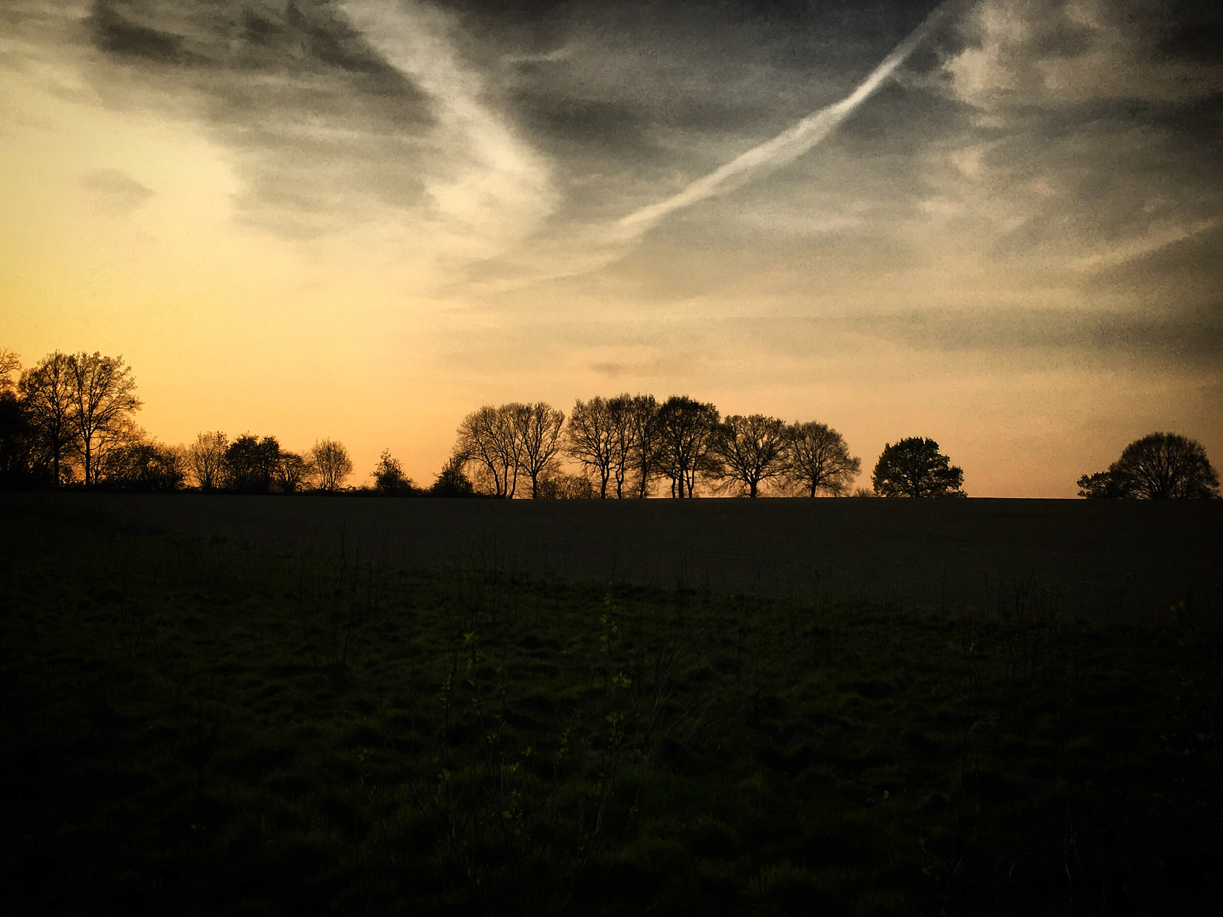 Fields at sunset -  tonbridge walks