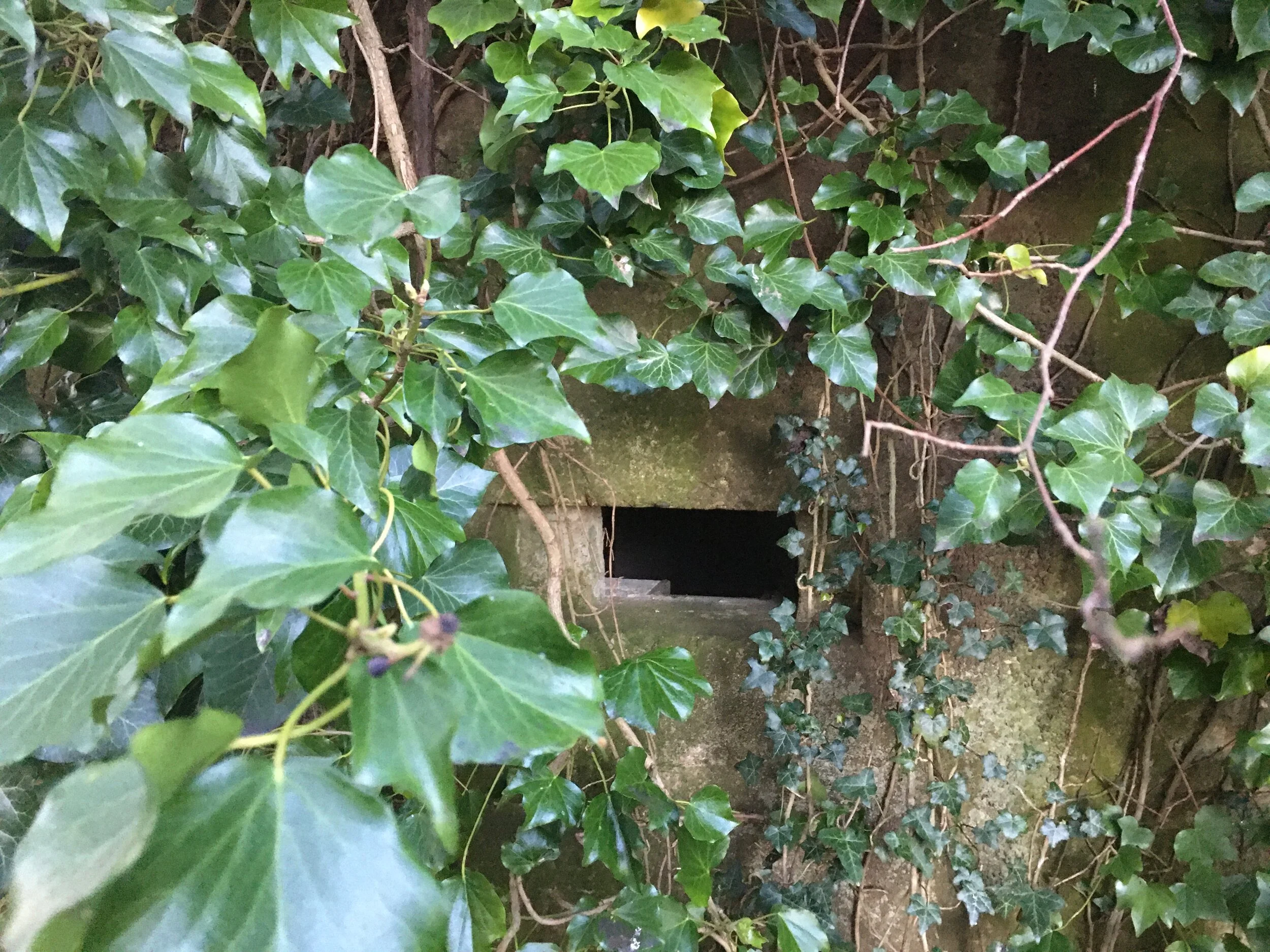 Pillbox near Tonbridge, Walk Tonbridge