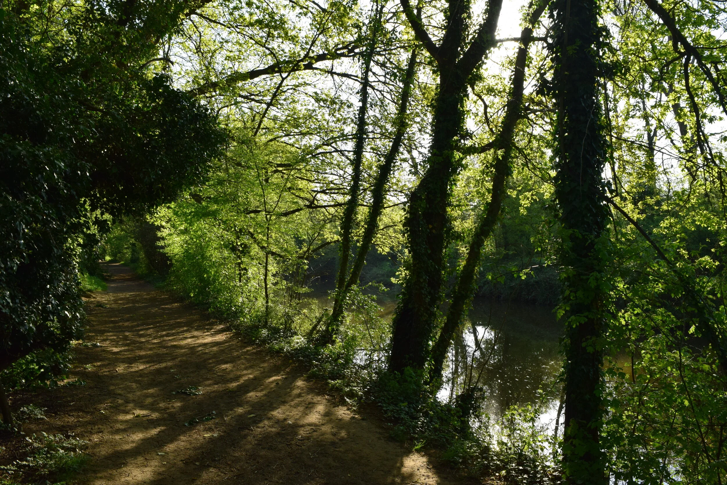 The River Medway Tonbridge, walk tonbridge