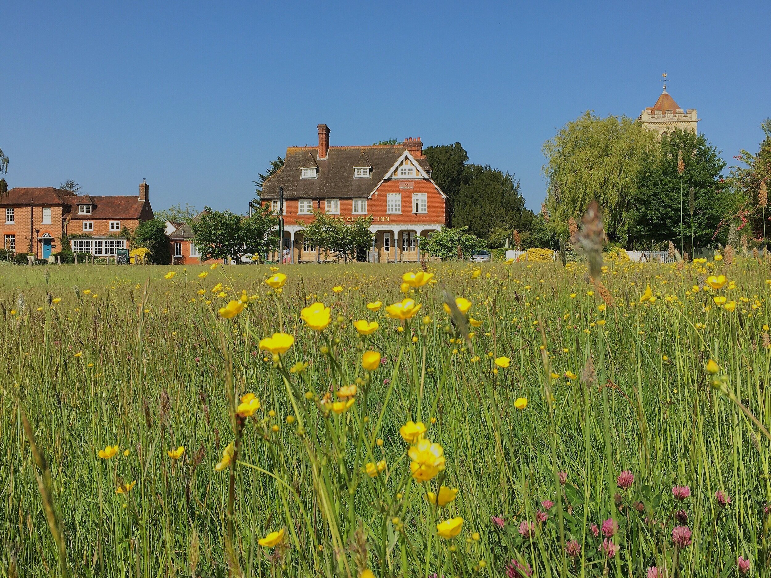 Shipbourne Common 