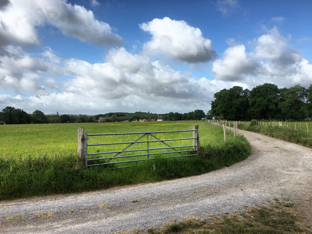 Walk Tonbridge - tales from the shire - hawden farm - hildenborough.JPG