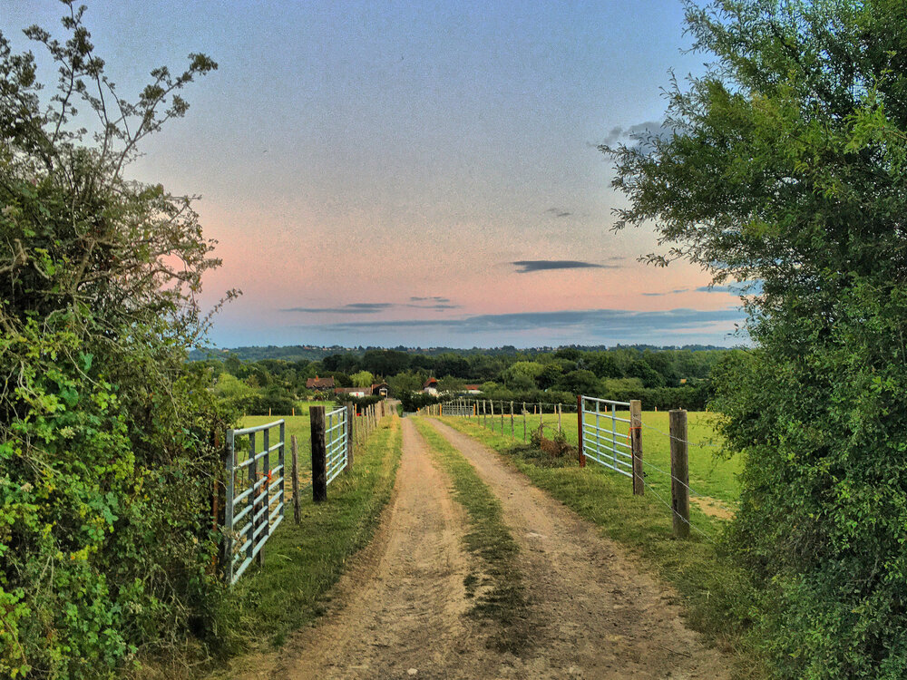 Walk Tonbridge - The Green Mile - Little Barnetts Farm.jpg