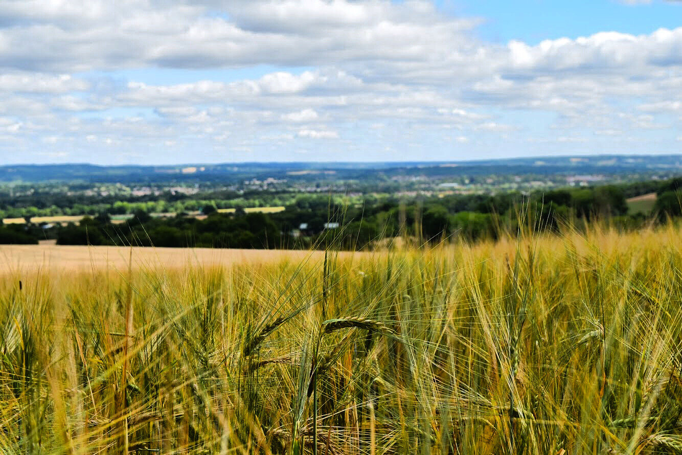 Walk Tonbridge - Walk 13- The Ascension - Beechy Toll - Bidborough.JPG