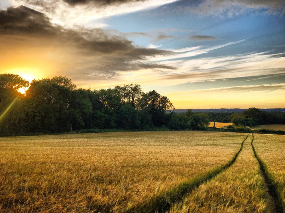 Walk+Tonbridge+-+Walk+13+-+The+Ascension+-+Beechy+Toll+-+Sunset.jpg