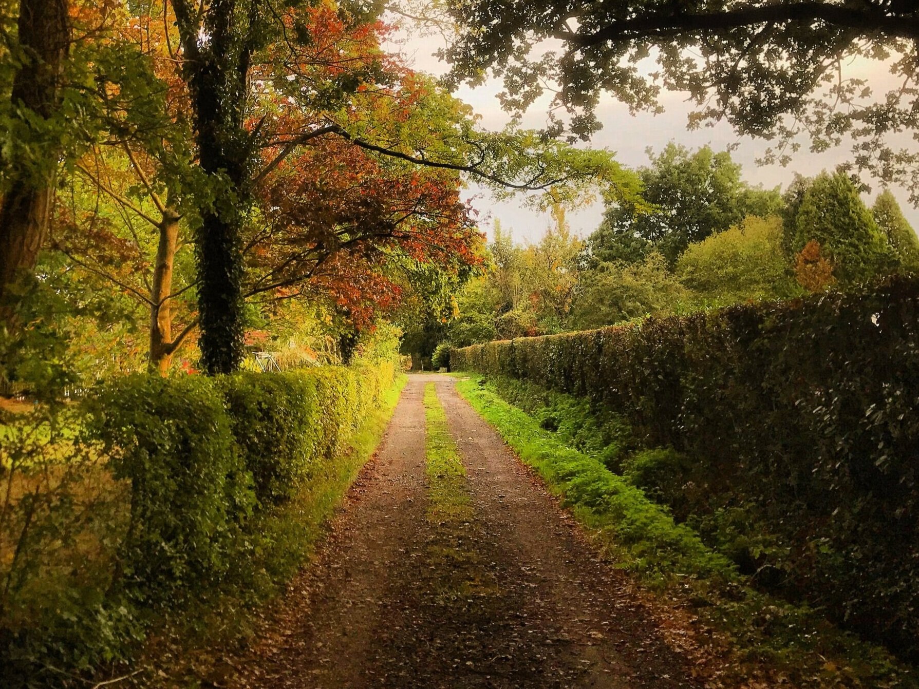 Walk%2BTonbridge%2B-%2BWalk%2B15%2B-%2BCastle%2Bon%2BThe%2BHill%2B-%2BSomerden%2BGreen%2B-%2Bworkhouse%2B-%2Bpoorhouse%2B-%2BChiddingstone%2B-%2Bautumn%2B-%2Bsunset%2B-%2Bheadline%2B.jpg