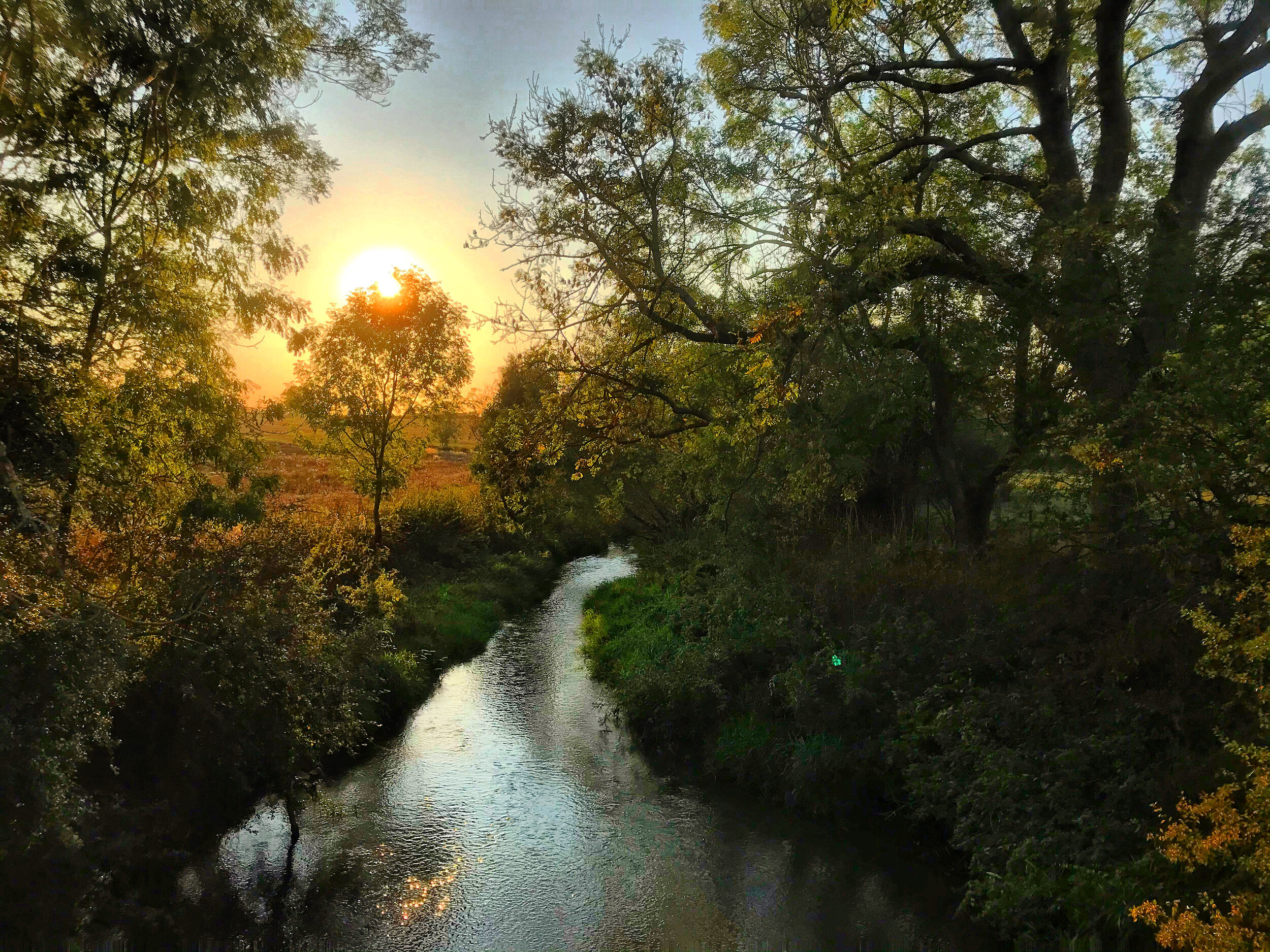 Walk Tonbridge - Walk 15 - Castle on The Hill - River Eden- Chiddingstone - sunset.jpg