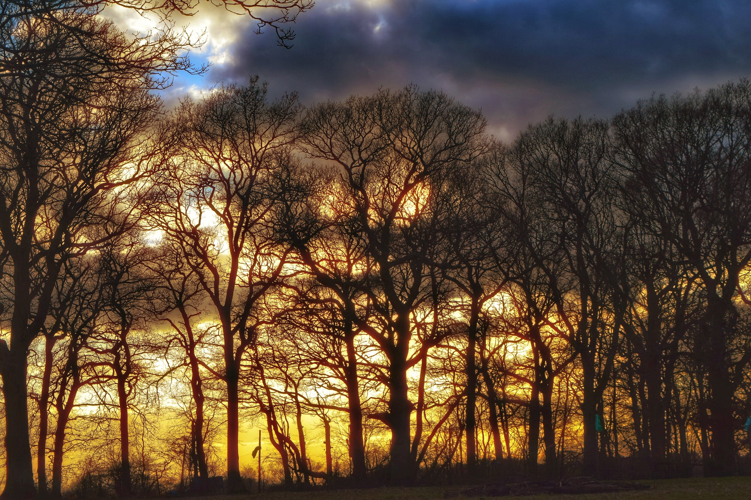 Walk Tonbridge - The Far Side of The Weald - Sevenoaks walks - blue sky and sunset - trees - weald of kent.jpeg