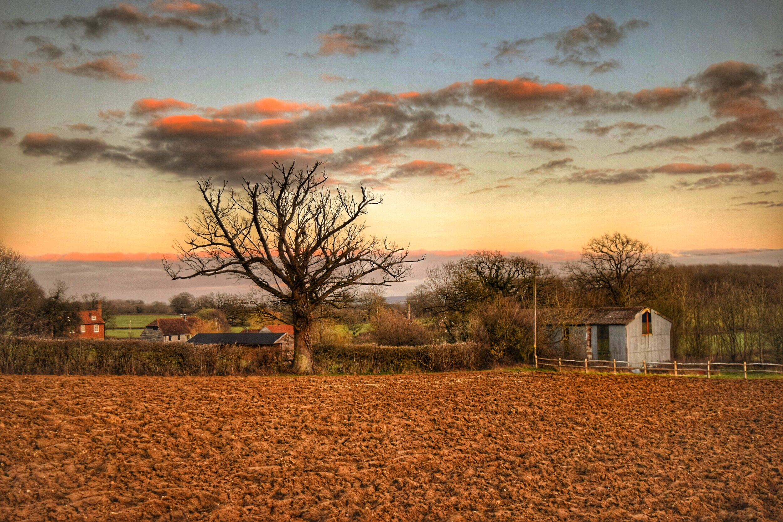 Walk Tonbridge - The Far Side of The Weald - Sevenoaks walks - weald of Kent  - farm - sunset (2).jpeg
