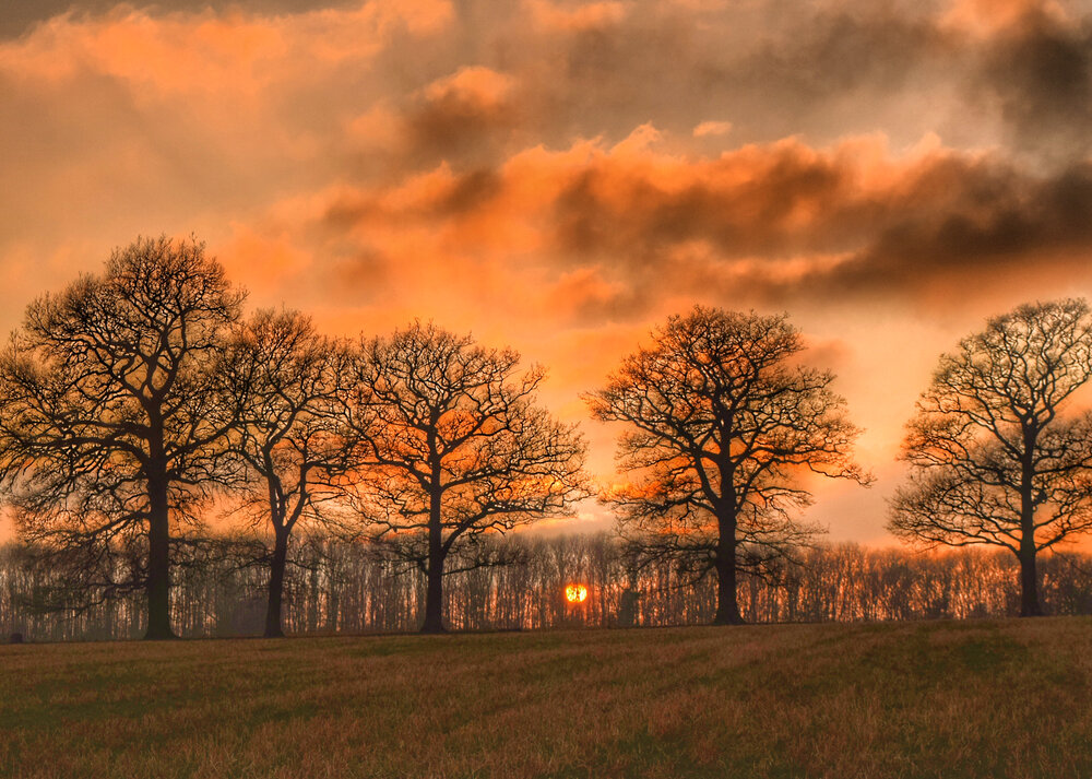 Walk Tonbridge - The Far Side of The Weald - Sevenoaks walks - sunset -sevenoaks kent.jpg